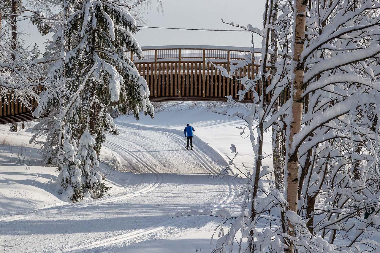 Paloheinän uudet hiihtosillat ylittävät Pitkäkoskelle menevän ladun. Kuva: Tapani Leppänen.