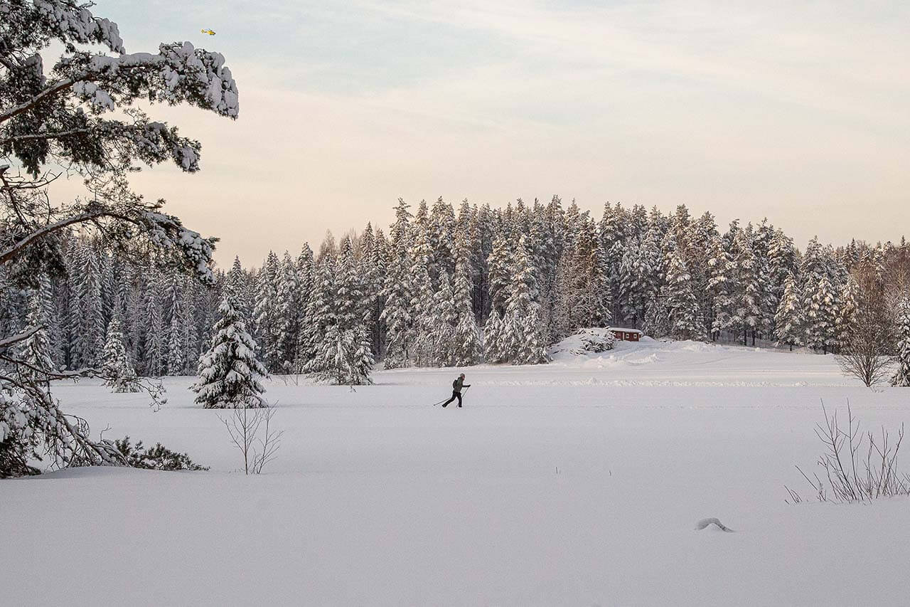 Pirttimäen laduilla on erämaista rauhaa. Kuva: Tapani Leppänen.