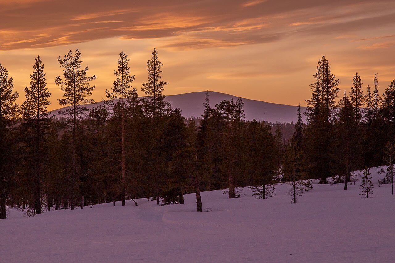 Outtakka (723 m) on Ounastunturien korkein laki. Kuva: Tapani Leppänen.