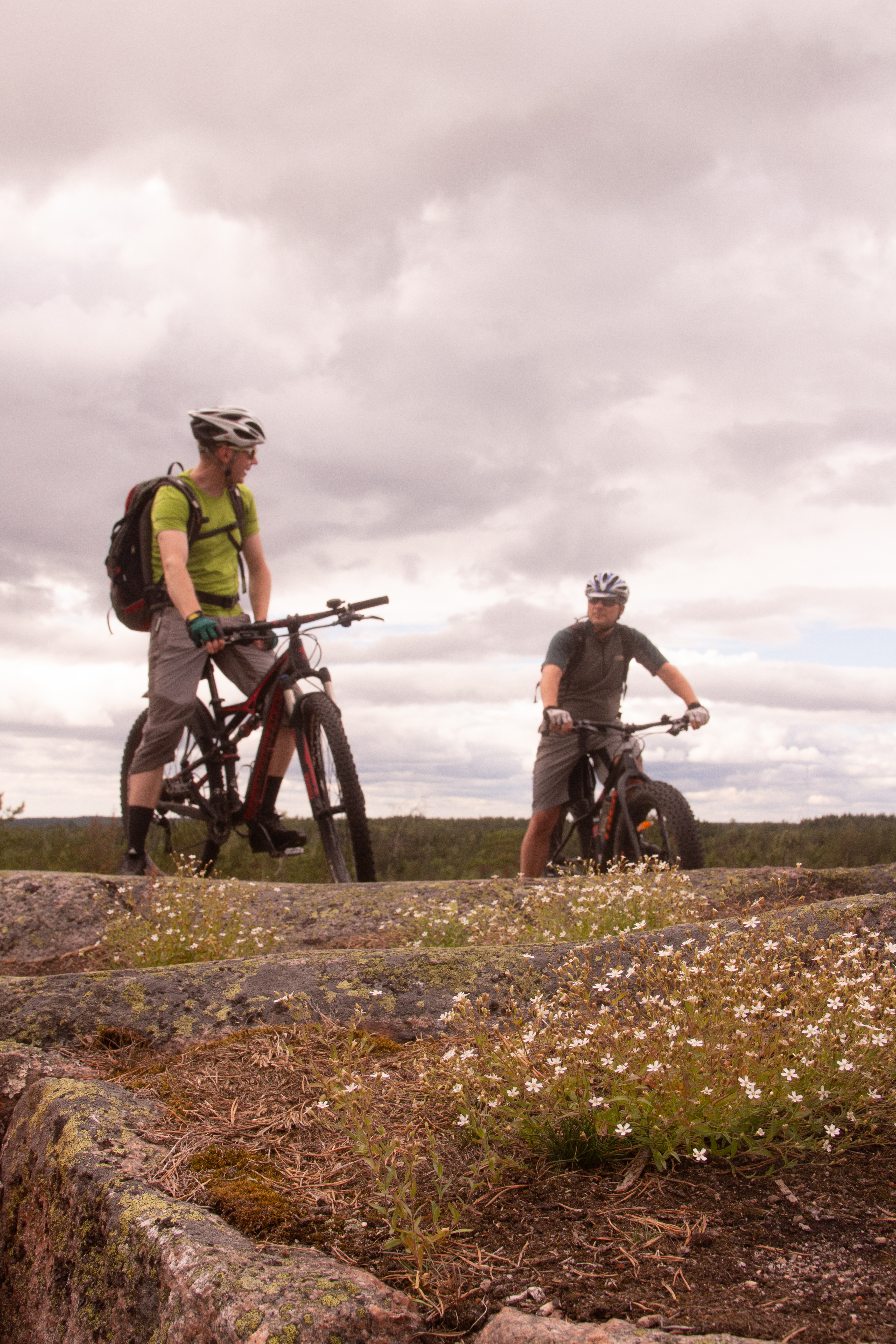 Avarat kallioylängöt ovat Teijon kansallispuiston parasta antia. Kuva: Tapani Leppänen.