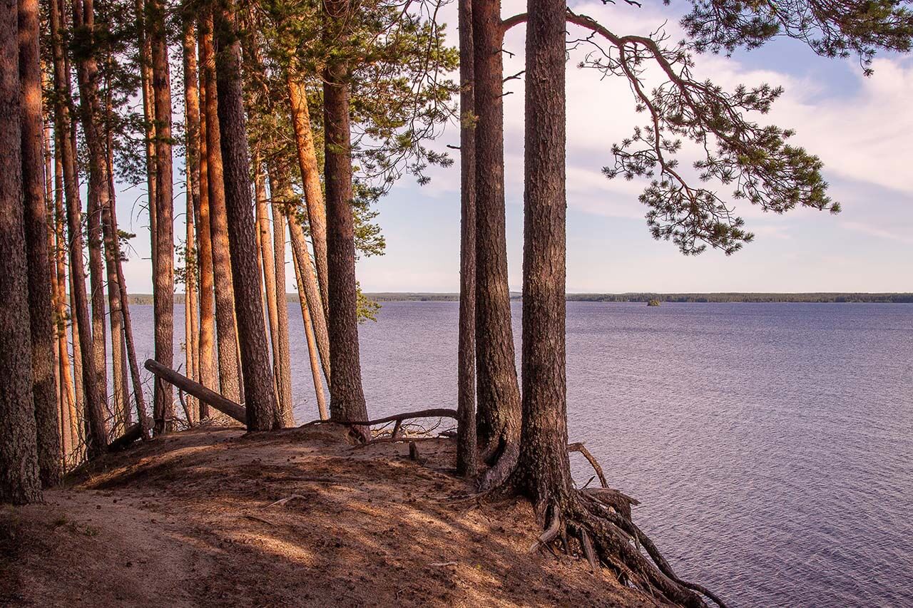 Saaren ympäri kiertävä polku seurailee rantatörmän reunoja. Kuva: Tapani Leppänen.