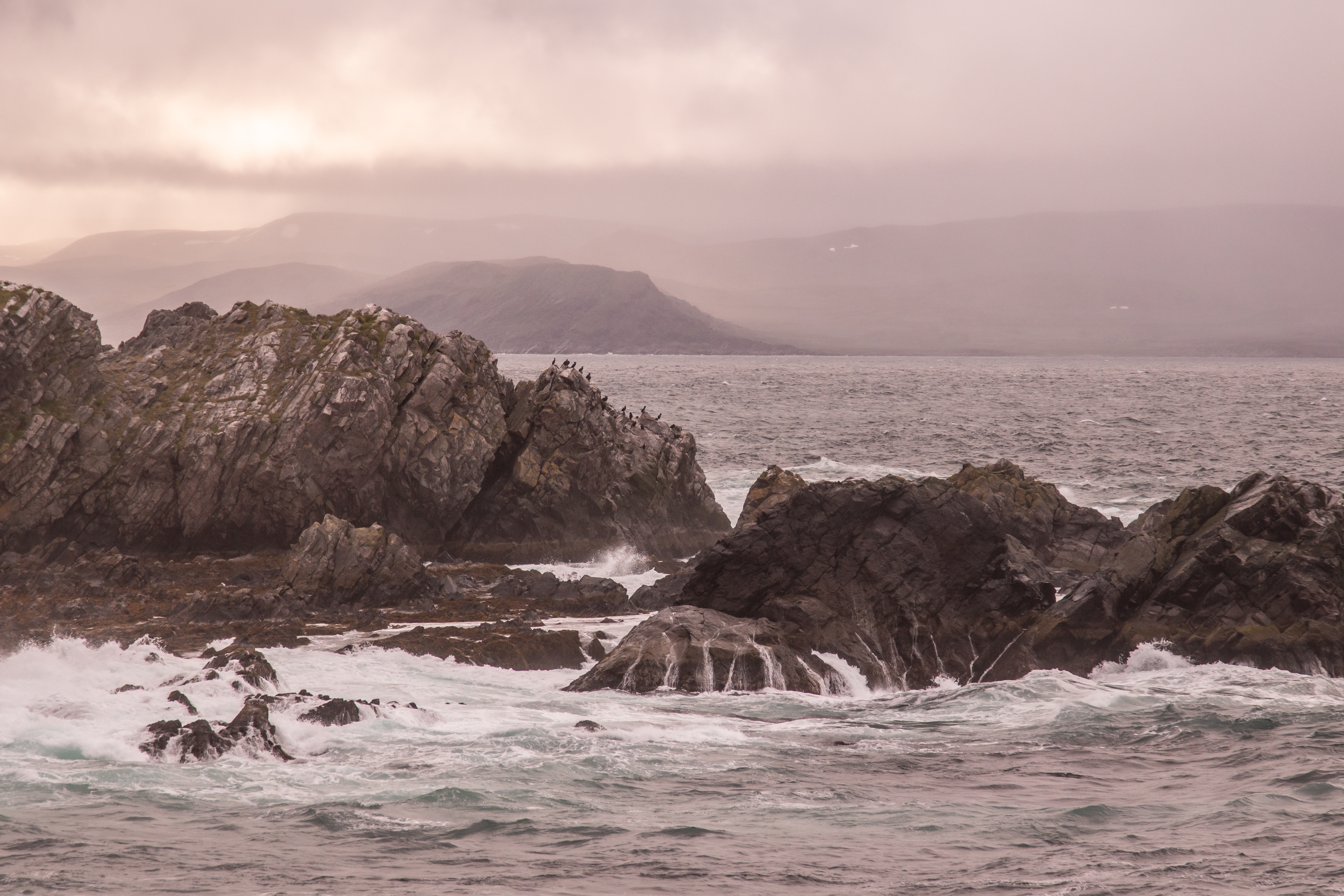 Varangin rantakalliot ovat saaneet muotonsa ennen viimeistä jääkautta. Kuva: Tapani Leppänen.