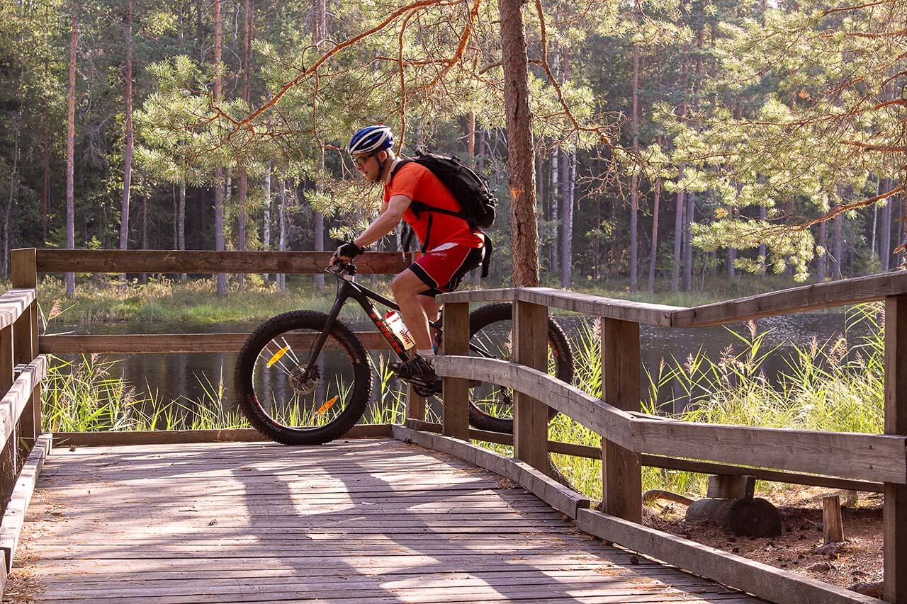 Suojelualueen ulkopuolella sijaitsevan Seelammin rannalla on näyttävä taukopaikka. Kuva: Tapani Leppänen.