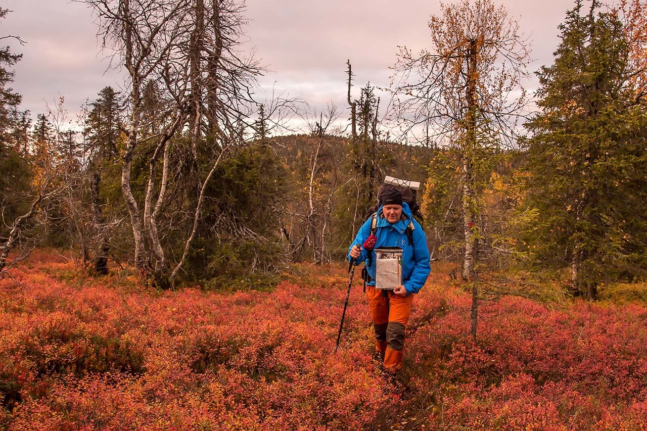 Topsakantaival johtaa Hautajärven luontokeskuksesta Sallaan. Matkaa kertyy 44 kilometriä. Kuva: Tapani Leppänen.