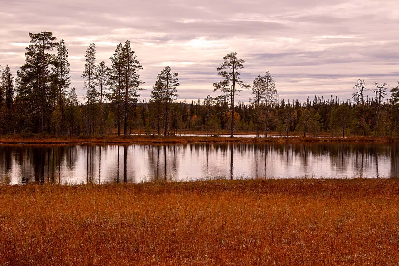 Vaaramaisemien reunustamat aapasuot hehkuvat syksyn väreissä. Kuva: Tapani Leppänen.