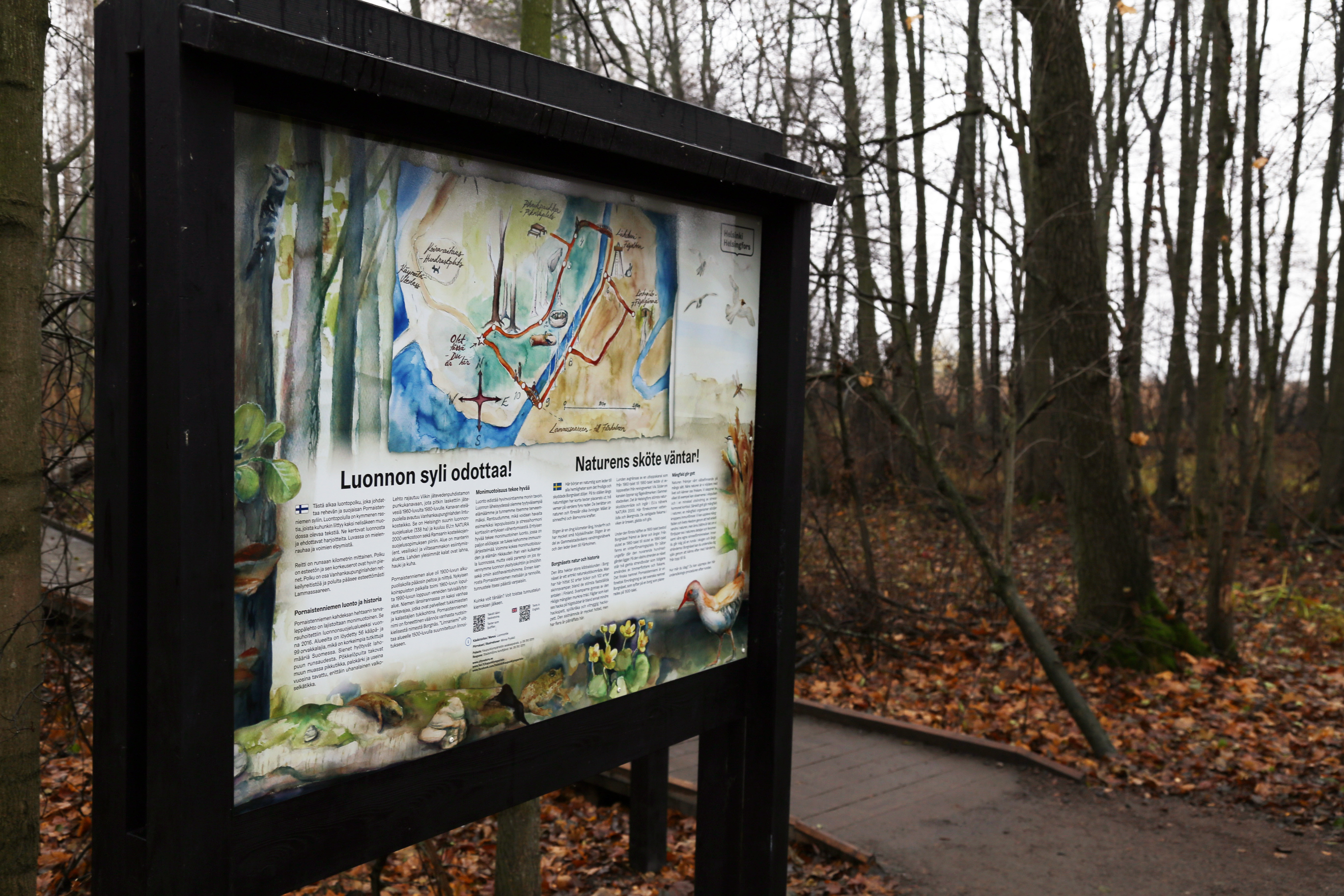 Polun varrella on komeita puusohvia