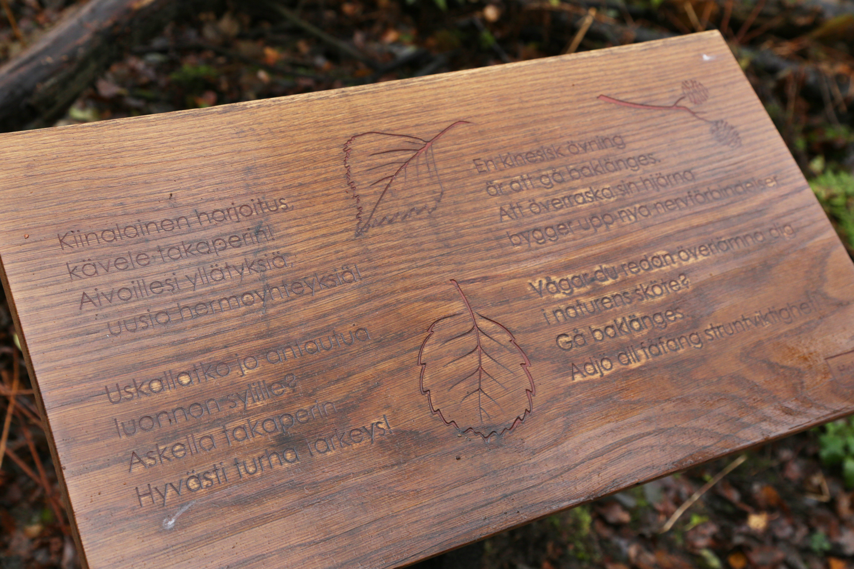 Sillan jälkeen maisema muuttuu kaislikkoisemmaksi, ja halutessaan voi kiivetä Pornaistenniemen lintutorniin