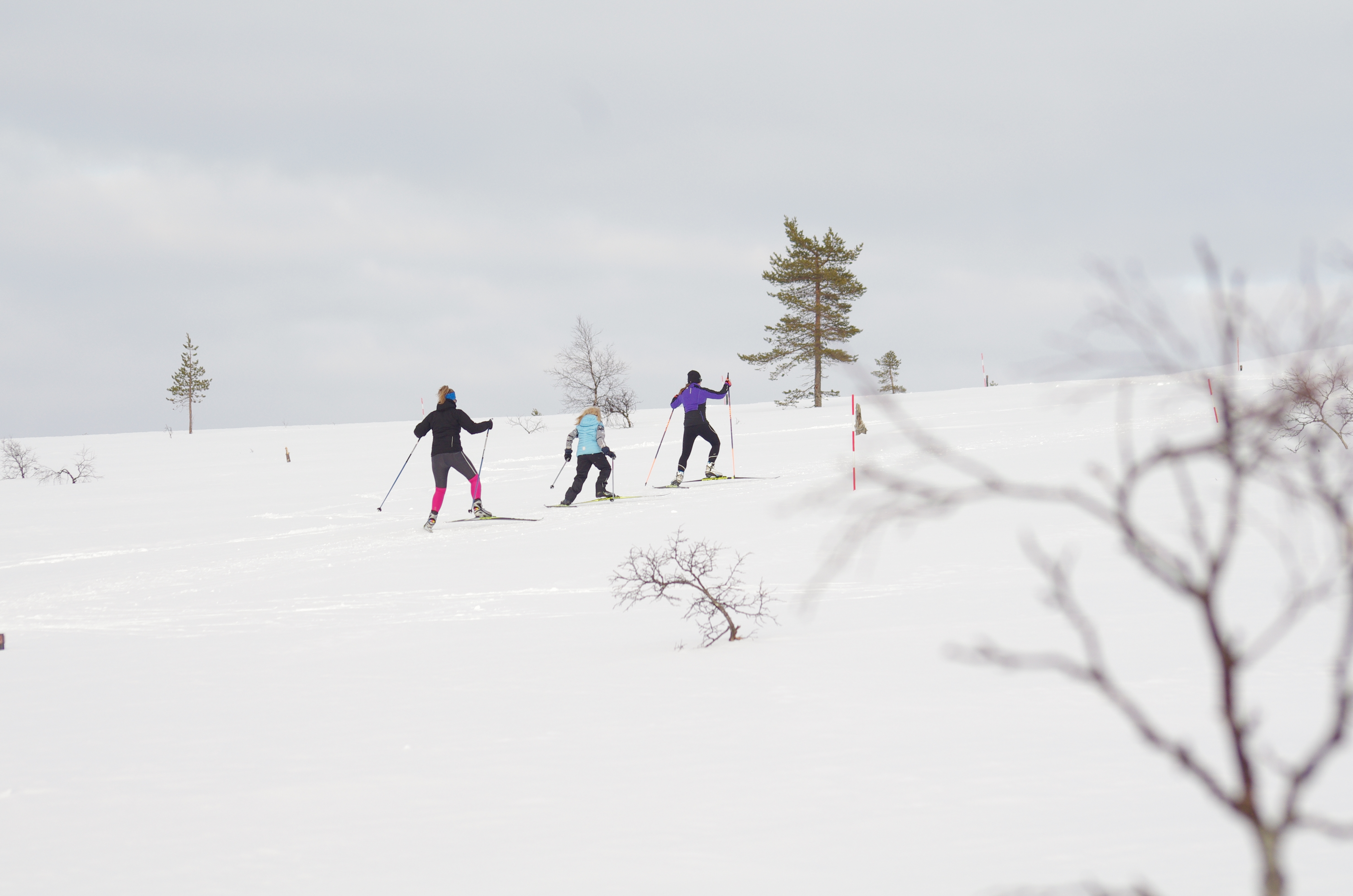 Nousumetrien tuottamaan hikoiluun kannattaa reagoida hyvissä ajoin, sillä alavilla mailla mittari voi painua parikymmentä astetta alemmaksi kuin ylhäällä tunturissa. Kuva: Tomi Savolainen.