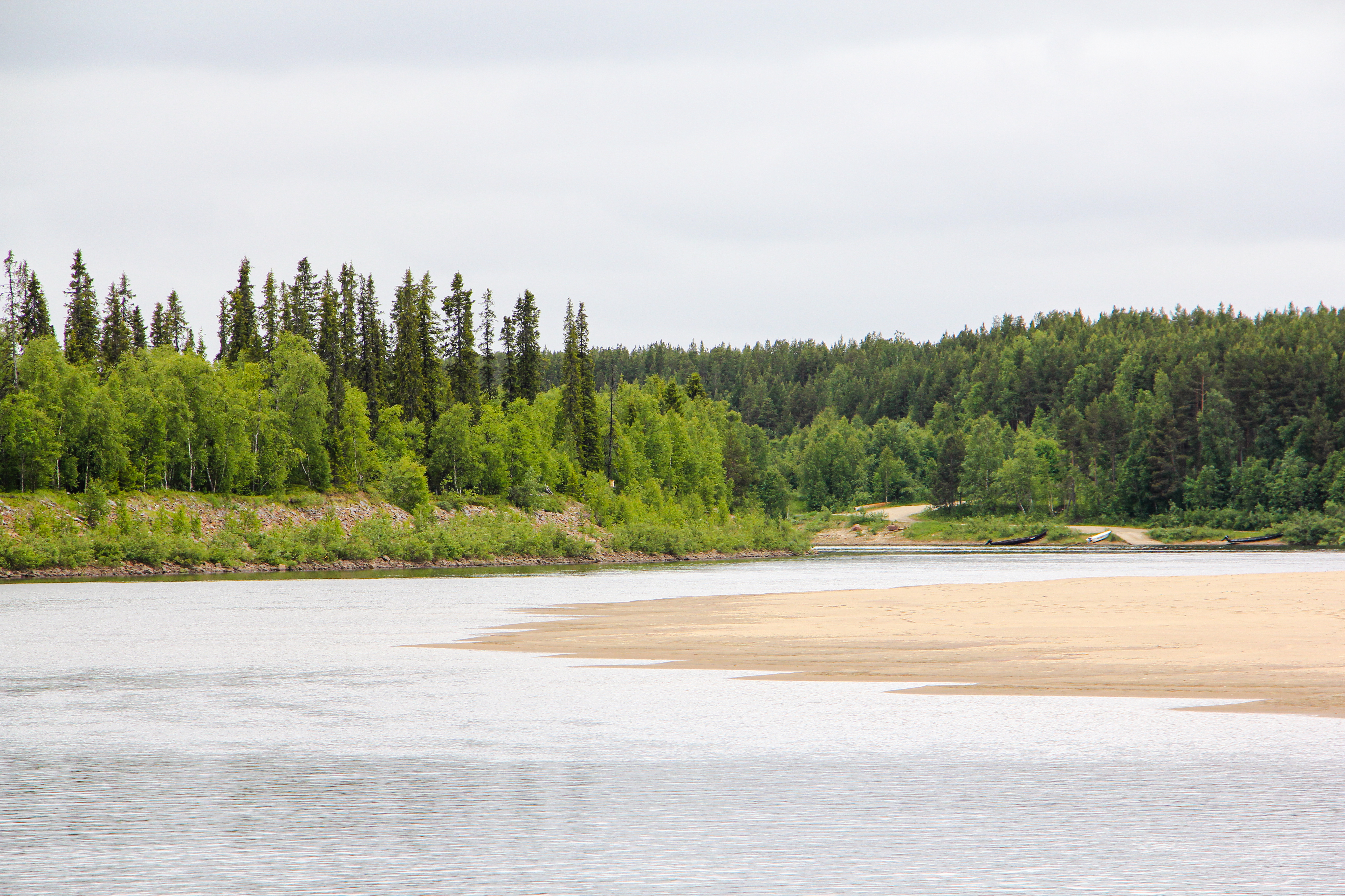 Ivalojoen loppuosan maisemaa hallitsevat laajat hiekkarannat, koivikot ja niiden seasta nousevat kynttiläkuuset. Kuva: Matti Mela.