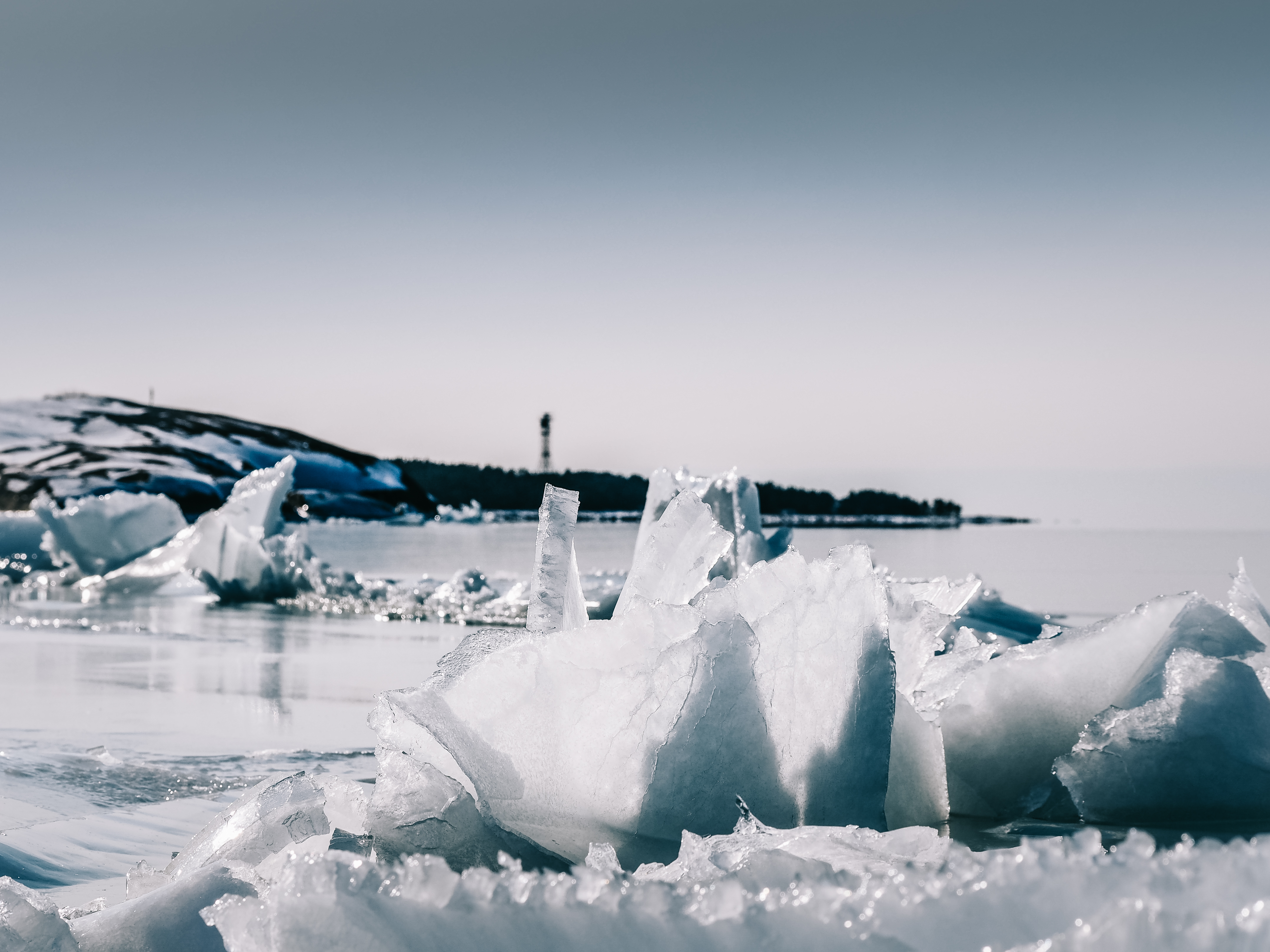 Luonnon oma taidenäyttely Örön länsipuolella. Kuva: Terhi Ilosaari.