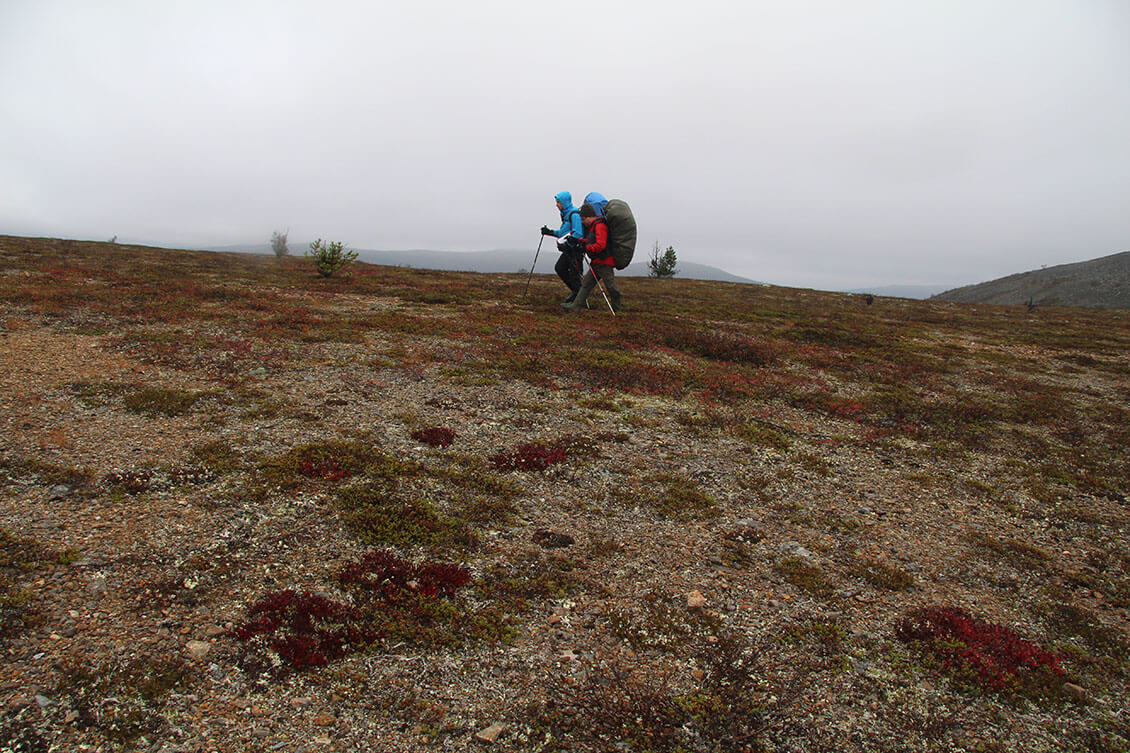 [07] Lemmenjoen kultareitti. Kuva: Jouni Laaksonen.
