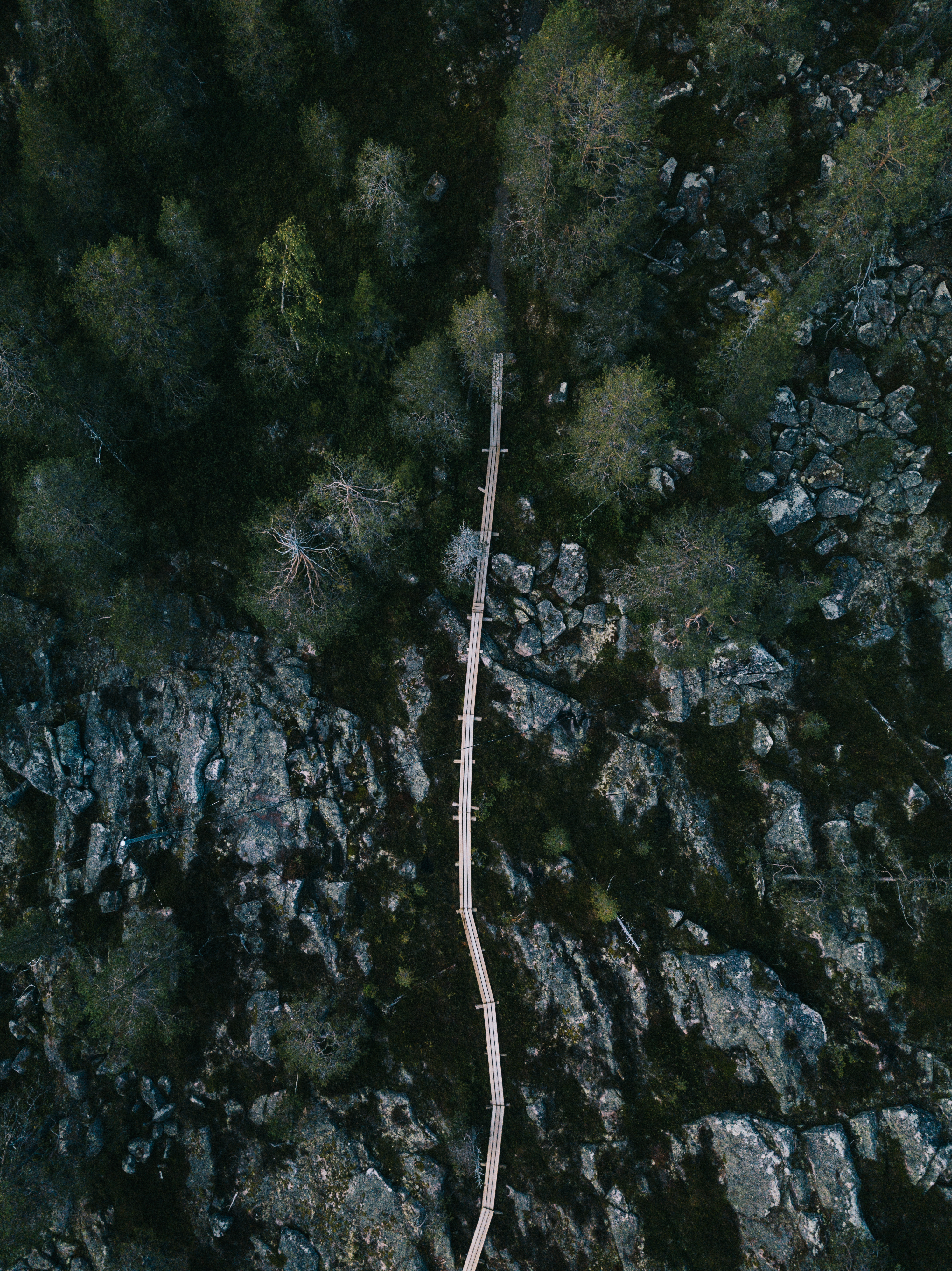 Pitkospuut helpottavat kulkijan matkaa Aurinkovaarojen jotoksella. Kuva: Marinella Himari.