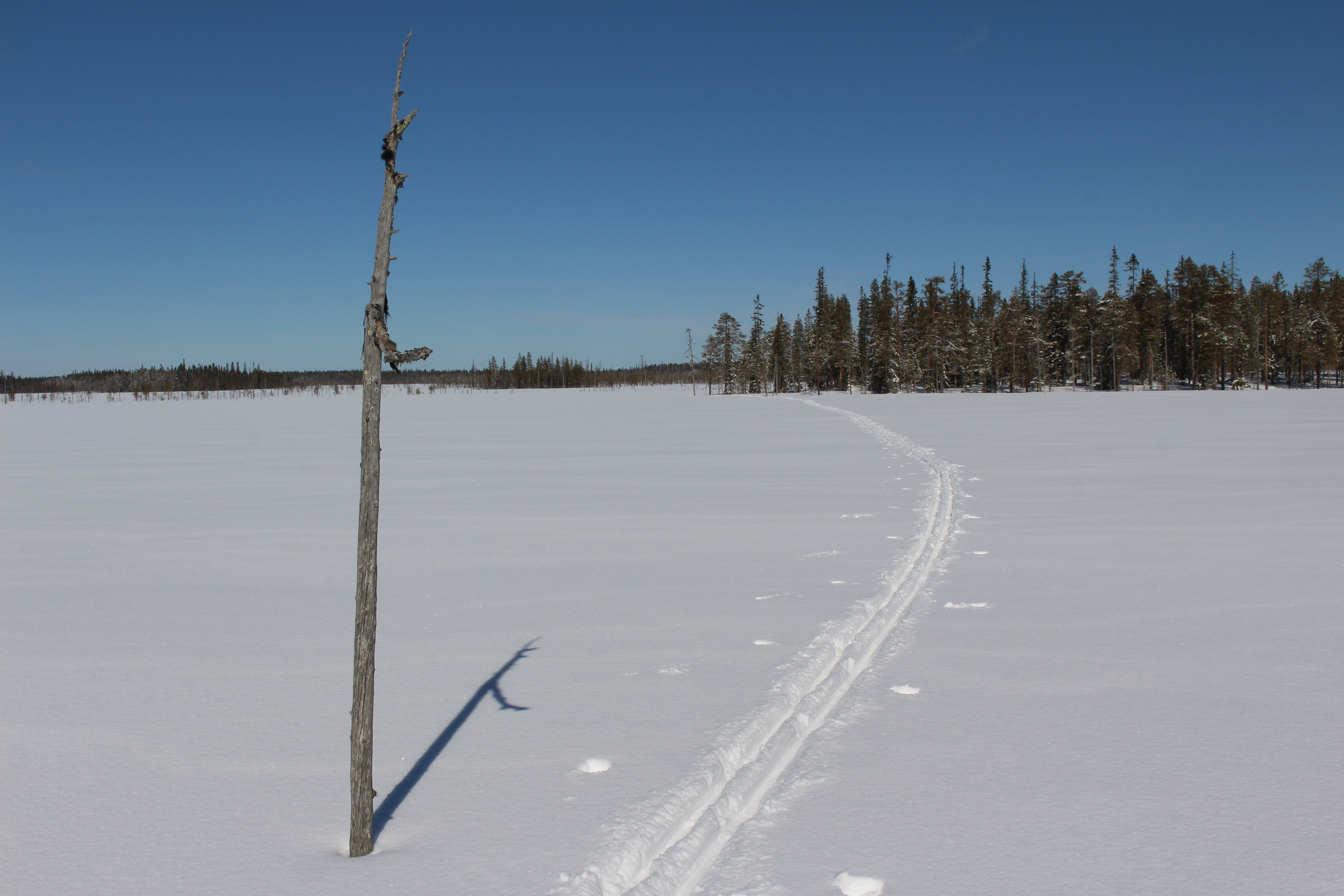 Juortanansalon tunnelma oli hyvin erämainen.