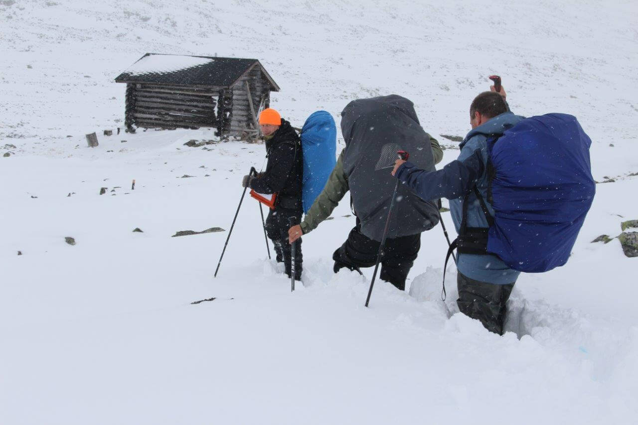 Ahma on jolkotellut Etu-Haltin suunnasta.