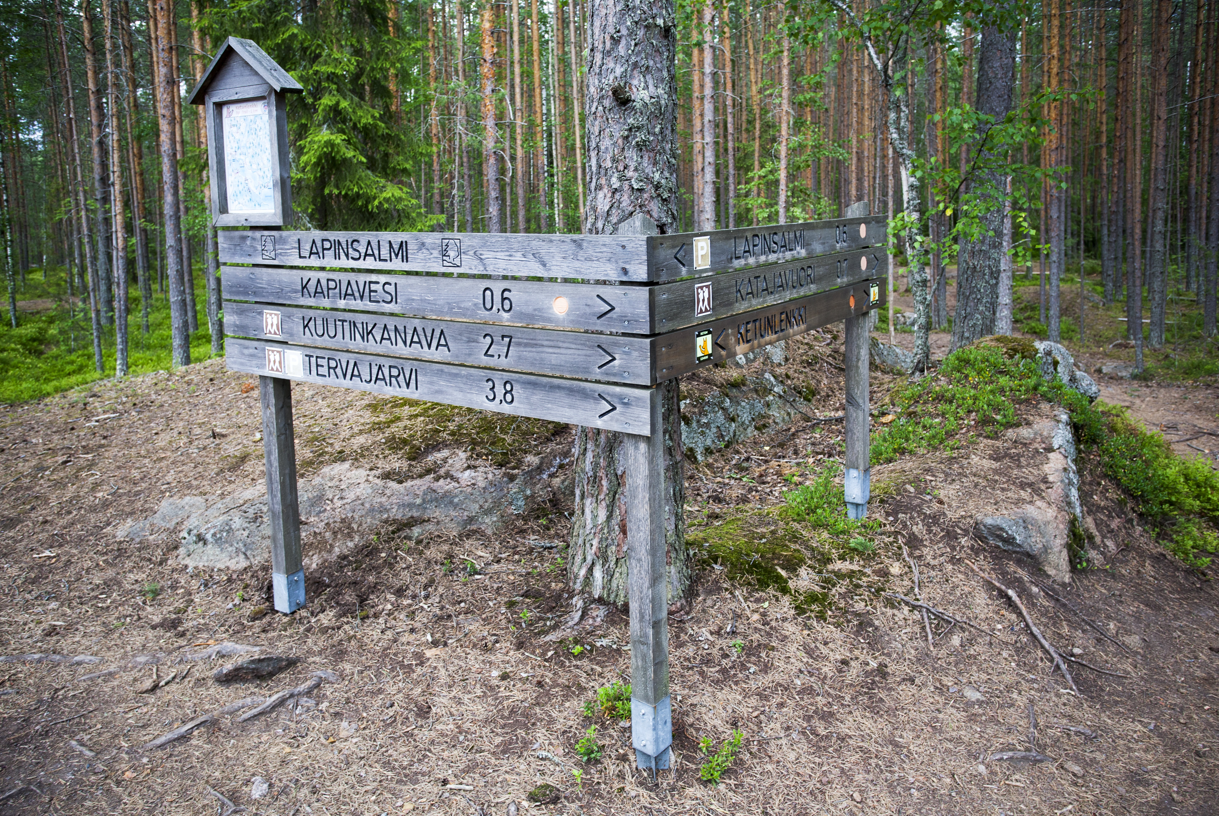 Suomen Ladun tekemässä kyselyssä toivottiin erityisesti ympyräreittejä. Kuva: Markus Sirkka.