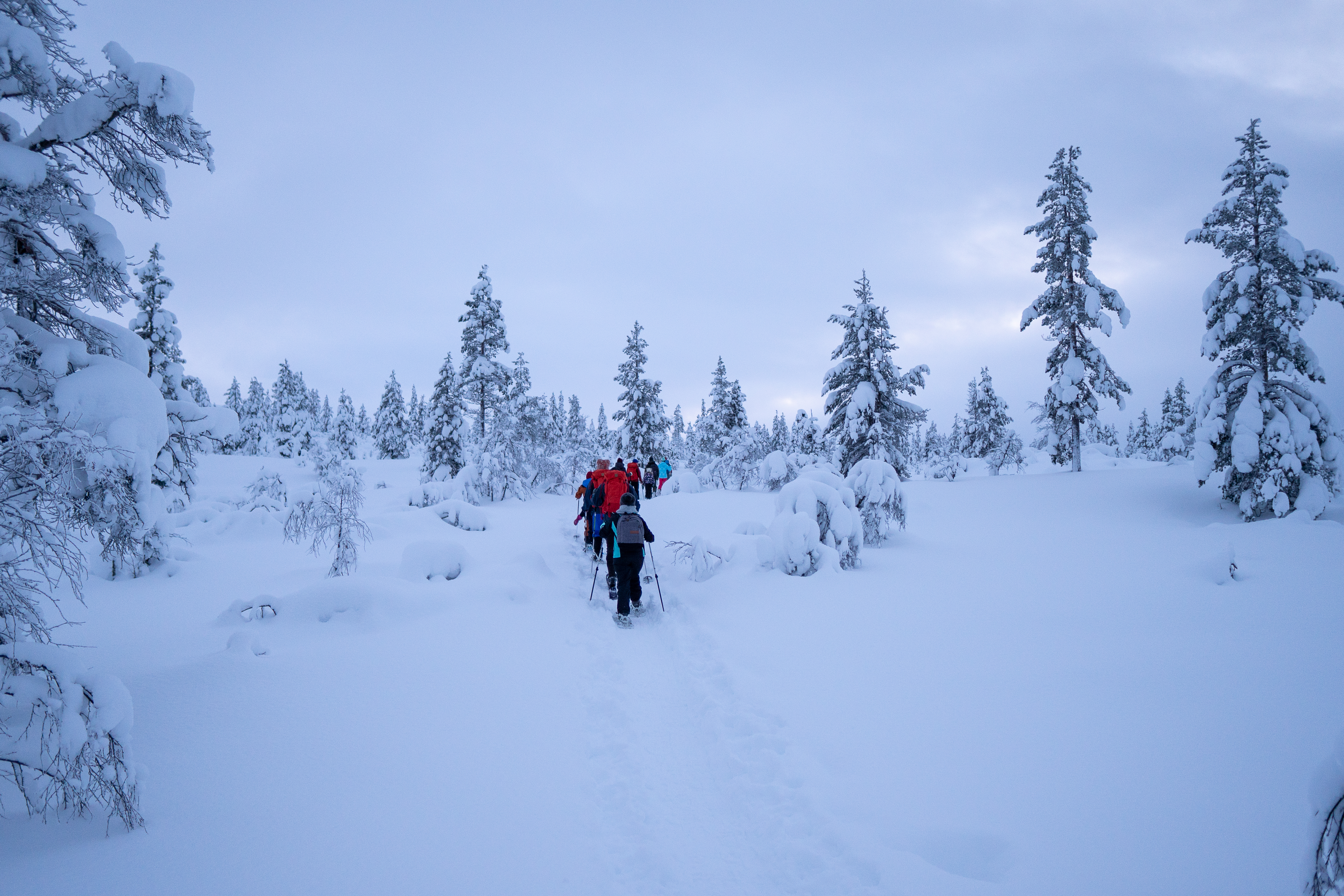 Kuva: Sampsa Sulonen.