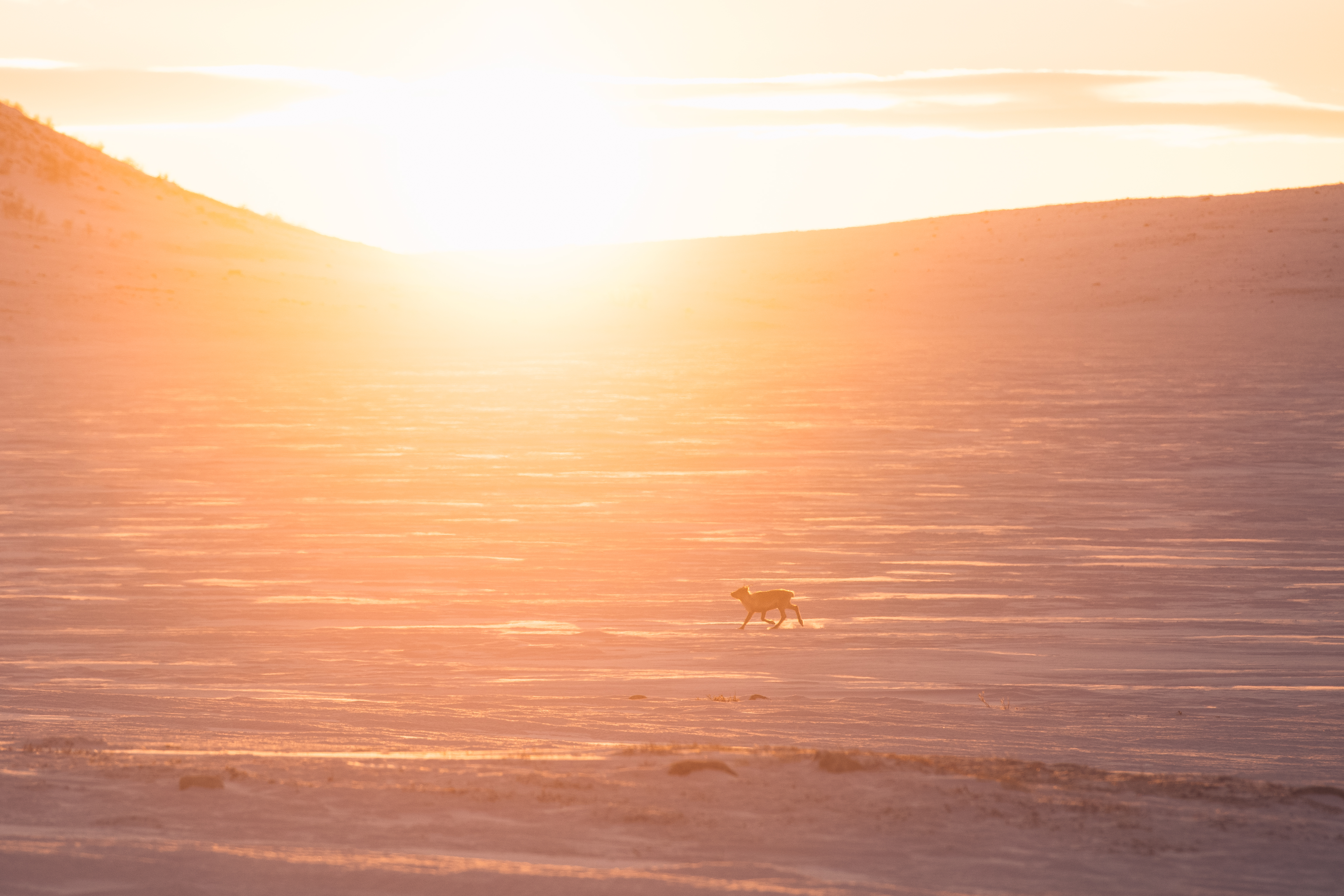 Lähtöpäivänä auringonvalo on hurmaava. Kultainen ja kevään tulosta kertova.