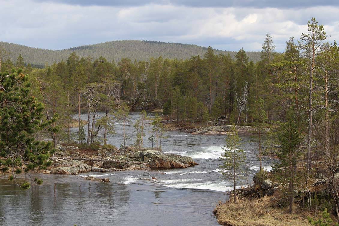 Koilliskairassa on useita kauniita jokilaaksoja, kuten kuvan Suomujoki. Kuva: Jouni Laaksonen.