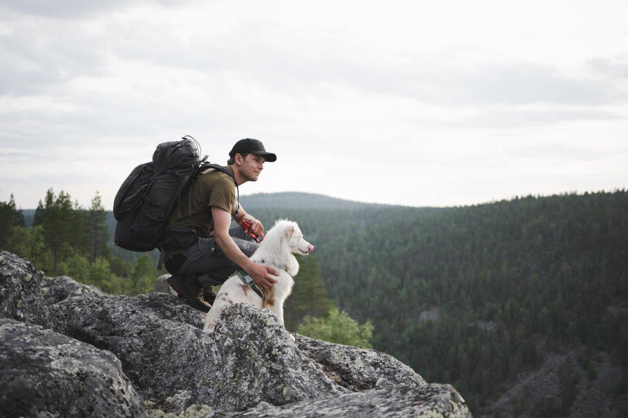 Koiranpentu on hyvä totuttaa pienestä pitäen retkeilyelämään, vaikka telttailemalla kotipihassa ja tekemällä lyhyitä retkiä lähiluontoon. Kuvat: Eeva Mäkinen.