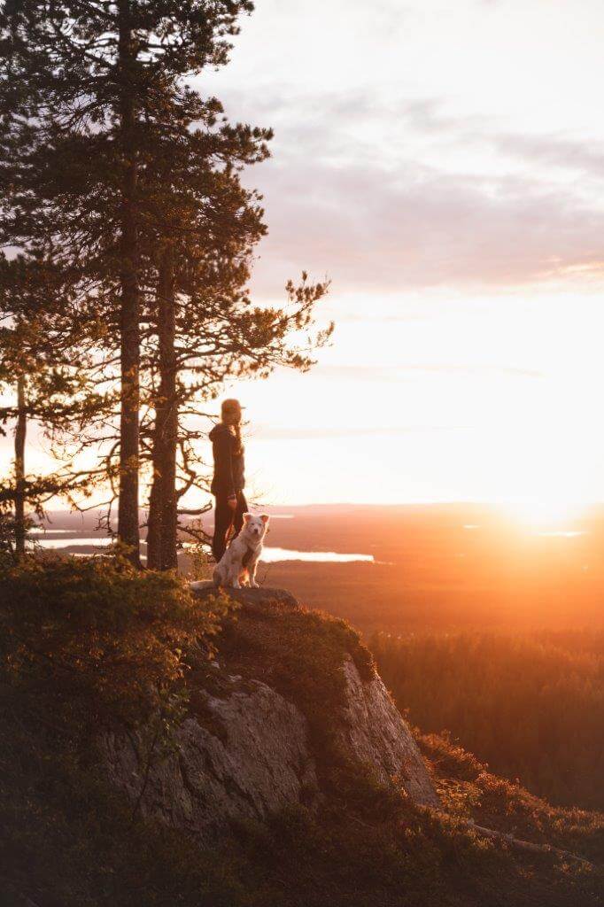 Koira on helppo kaveri reissussa. Se ei ikinä kyseenalaista reittivalintaa ja on innoissaan mukana vaikka keskellä yötä katsomassa auringonlaskua.