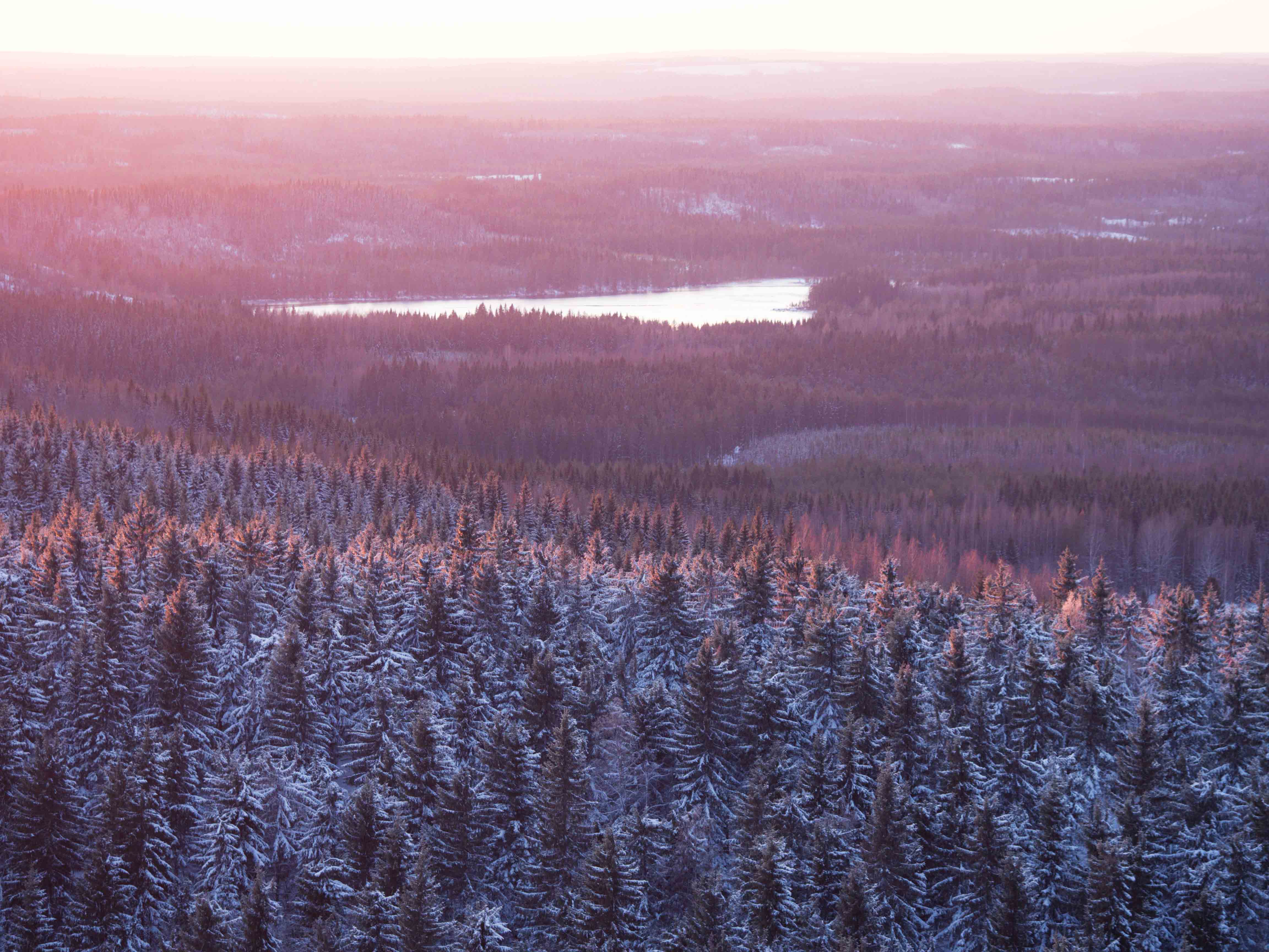 Näkymä Räsävaaran näkötornista. Kuvat: Terhi Ilosaari.