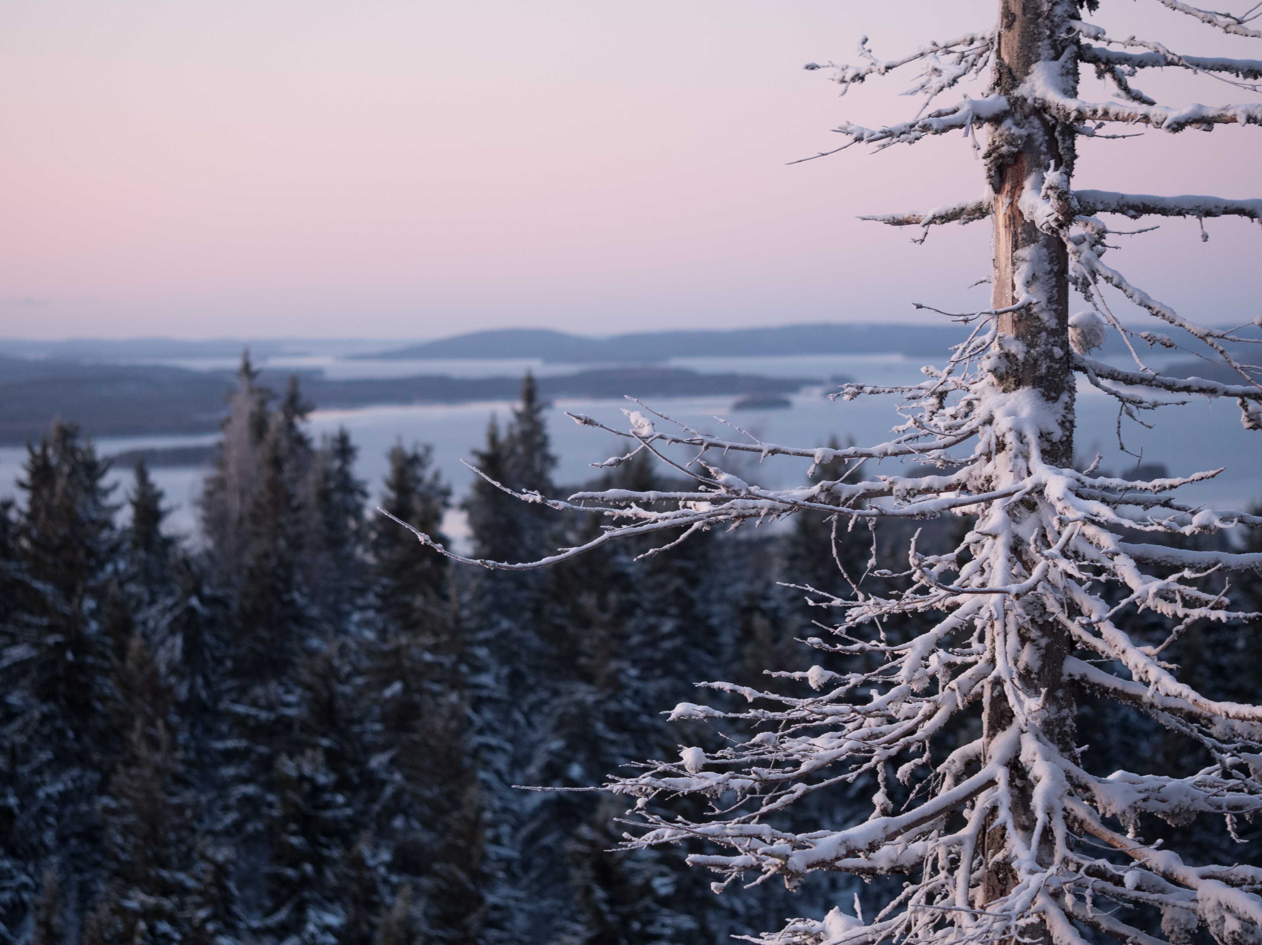 Räsävaaralla oma valttikorttinsa: maisemat avautuvat esteettöminä kaikkiin ilmansuuntiin.