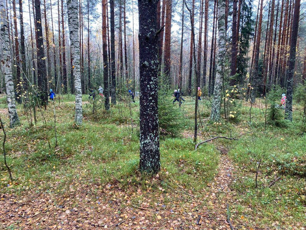 Koululaisia metsässä. Kuva: Sanna Jahkonen.