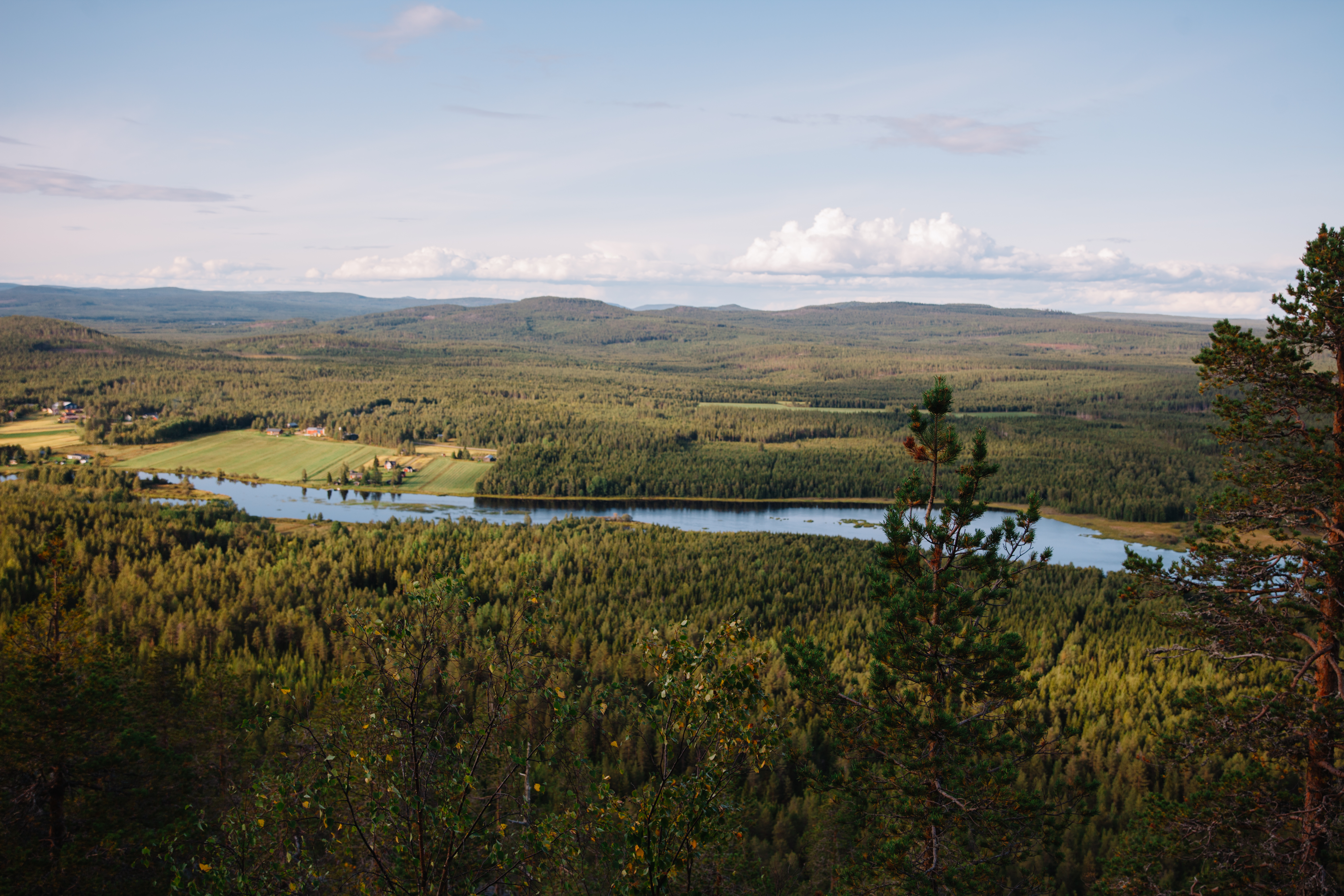 Tornionjokilaakson kansallismaisemaa, Kuva: Marinella Himari.