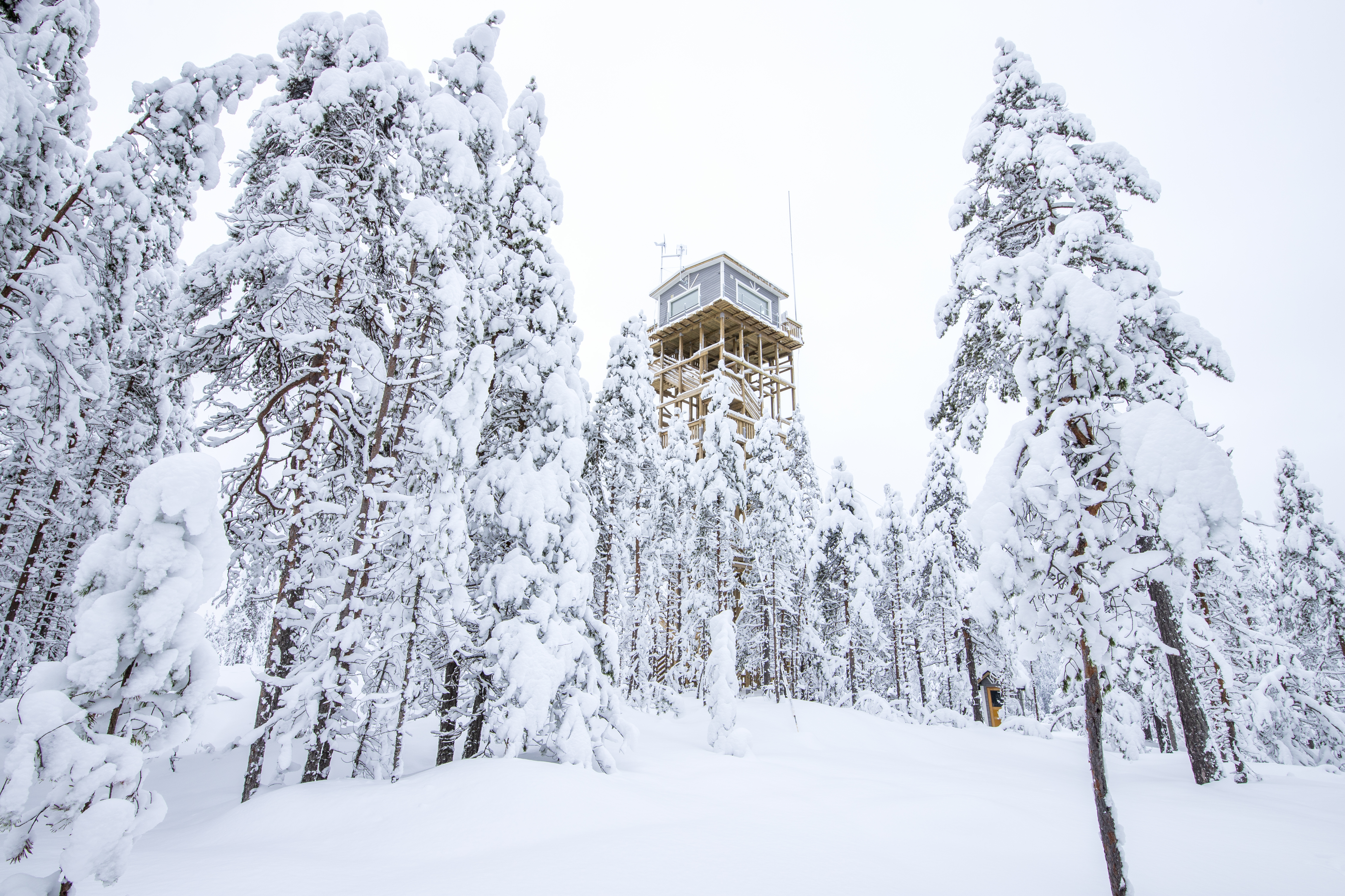 Häähninmäelle nousi kesällä 2020 uusi näkötorni, jonka huipulla voi yöpyä varaustuvassa. Kuvat: Markus Sirkka.