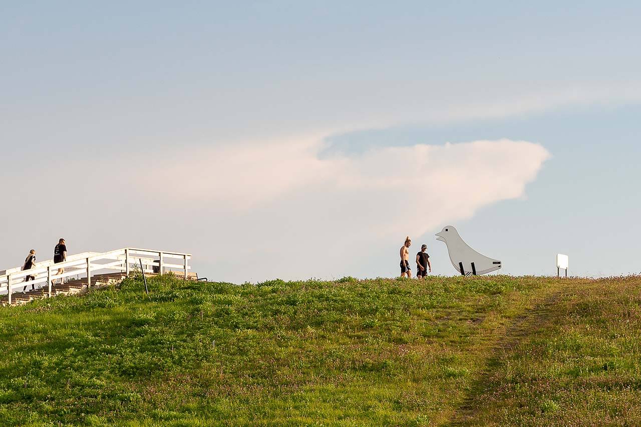 Kuntoportaat rakennetaan usein olemassa olevia liikunta-alueita monipuolistamaan. Lähistöltä voi löytyä niin kuntoiluvälineitä kuin merkattuja ulkoilureittejäkin. Kuva: Terhi Ilosaari.