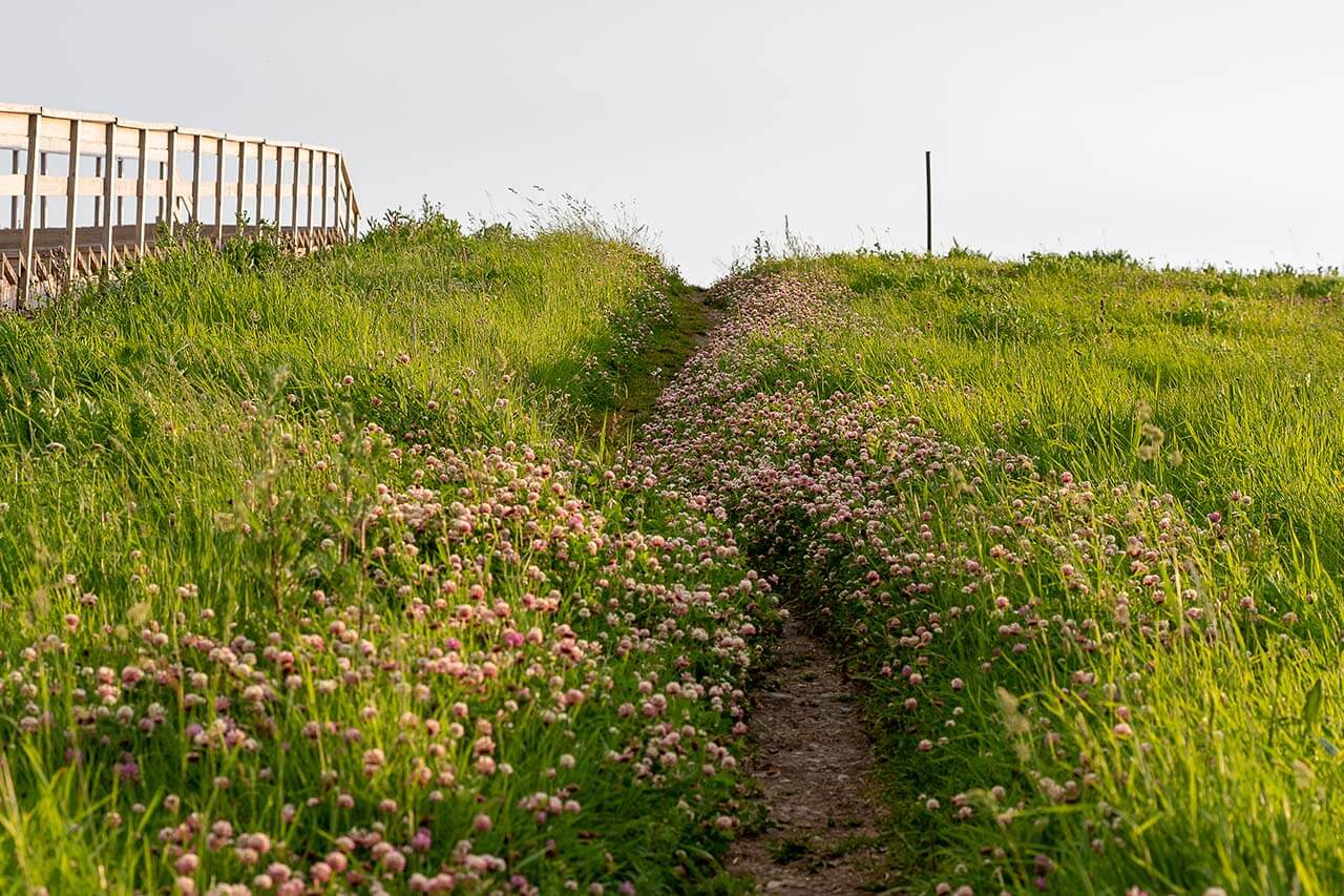 Alastuloreittiä on hauska vaihdella. Useat porrasmäet tarjoavat monta reittivaihtoehtoa. Kuva: Terhi Ilosaari.