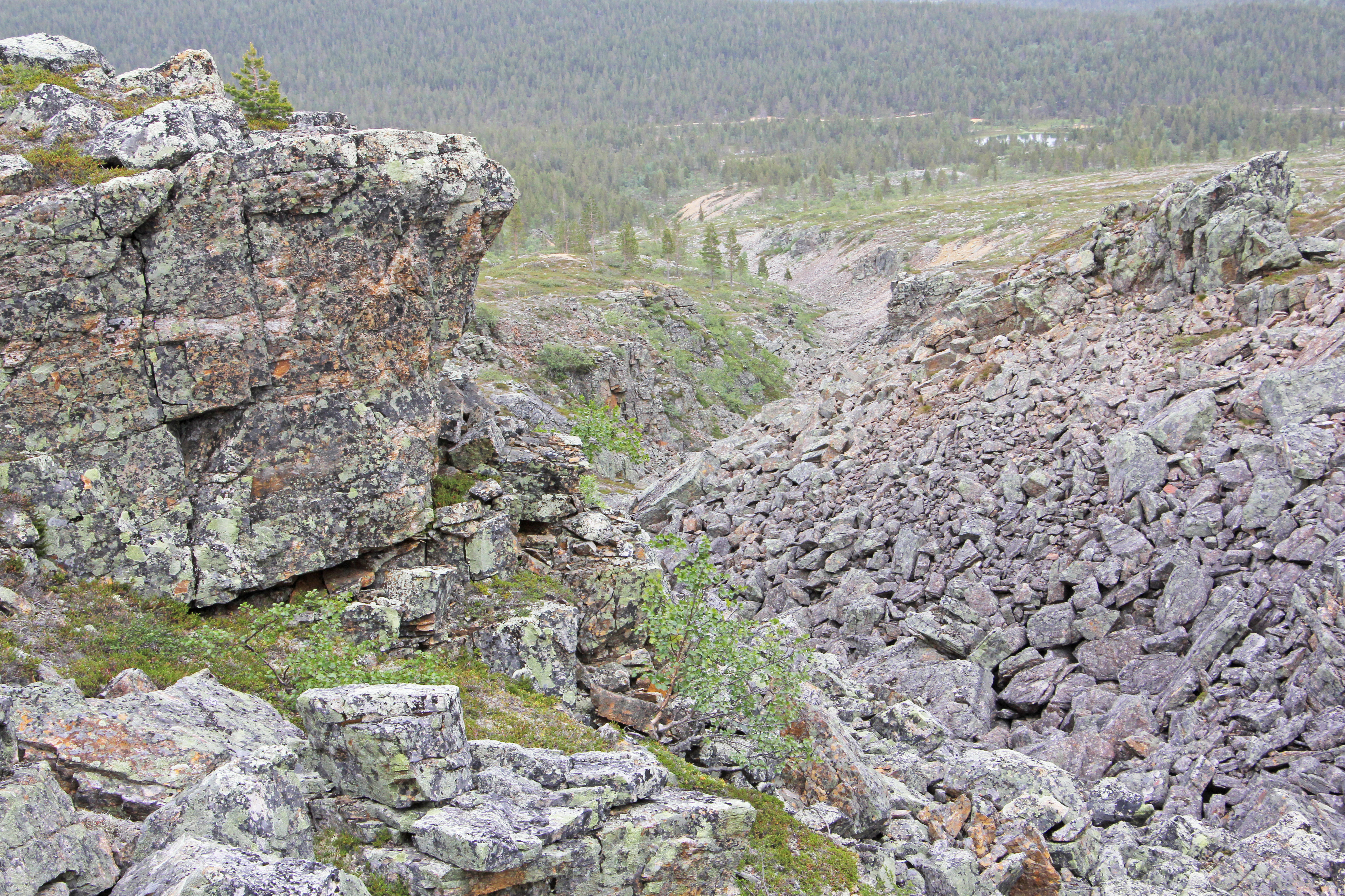 Kymmenen tuhatta vuotta vanha jääjärven laskujoki näkyy tunturin kyljessä kallioisena kuruna. Oikealla oleva lohkareikko on syntynyt pakkasrapautumisesta. Tunturin juurella männikössä on hietikoita merkkinä vanhasta deltasta. Kuva: Matti Mela.