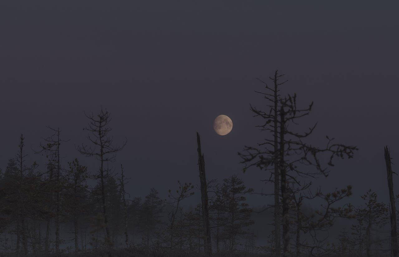 Kuun helpoimmin erottuvat meret näkyvät parhaiten Kuun kasvaessa puolikkaasta täydeksi sekä vielä muutaman yön täydenkuun jälkeenkin. Kuva: Terhi Ilosaari.