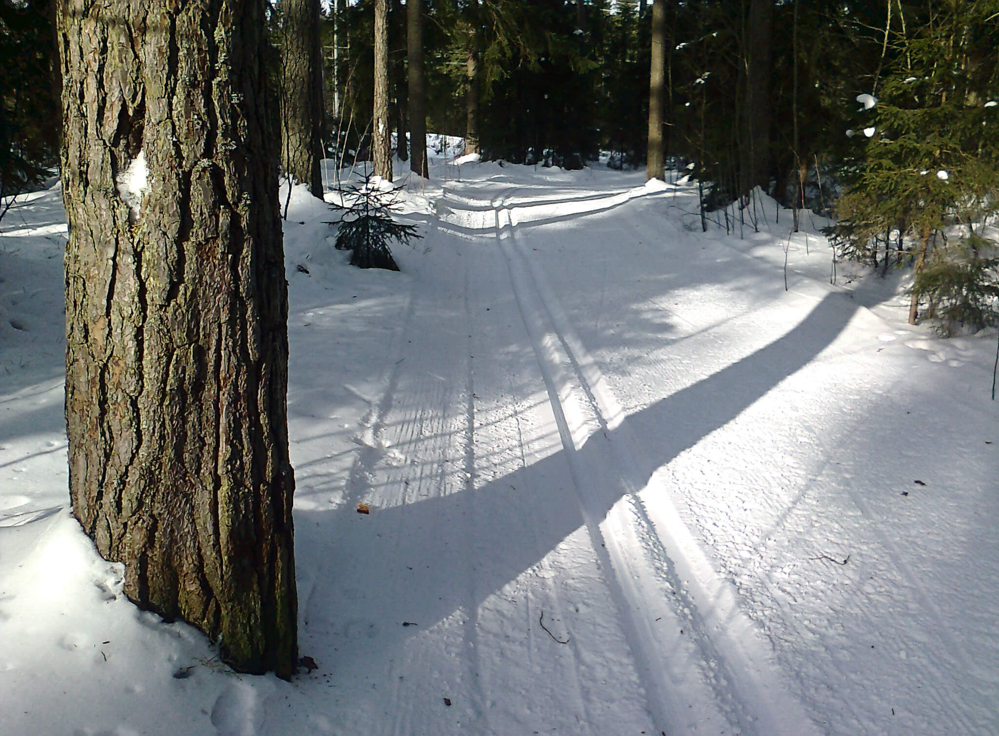 Latu vie Sipoorven kansallispuiston syvyyksiin. Kuvat: Jouni Laaksonen.