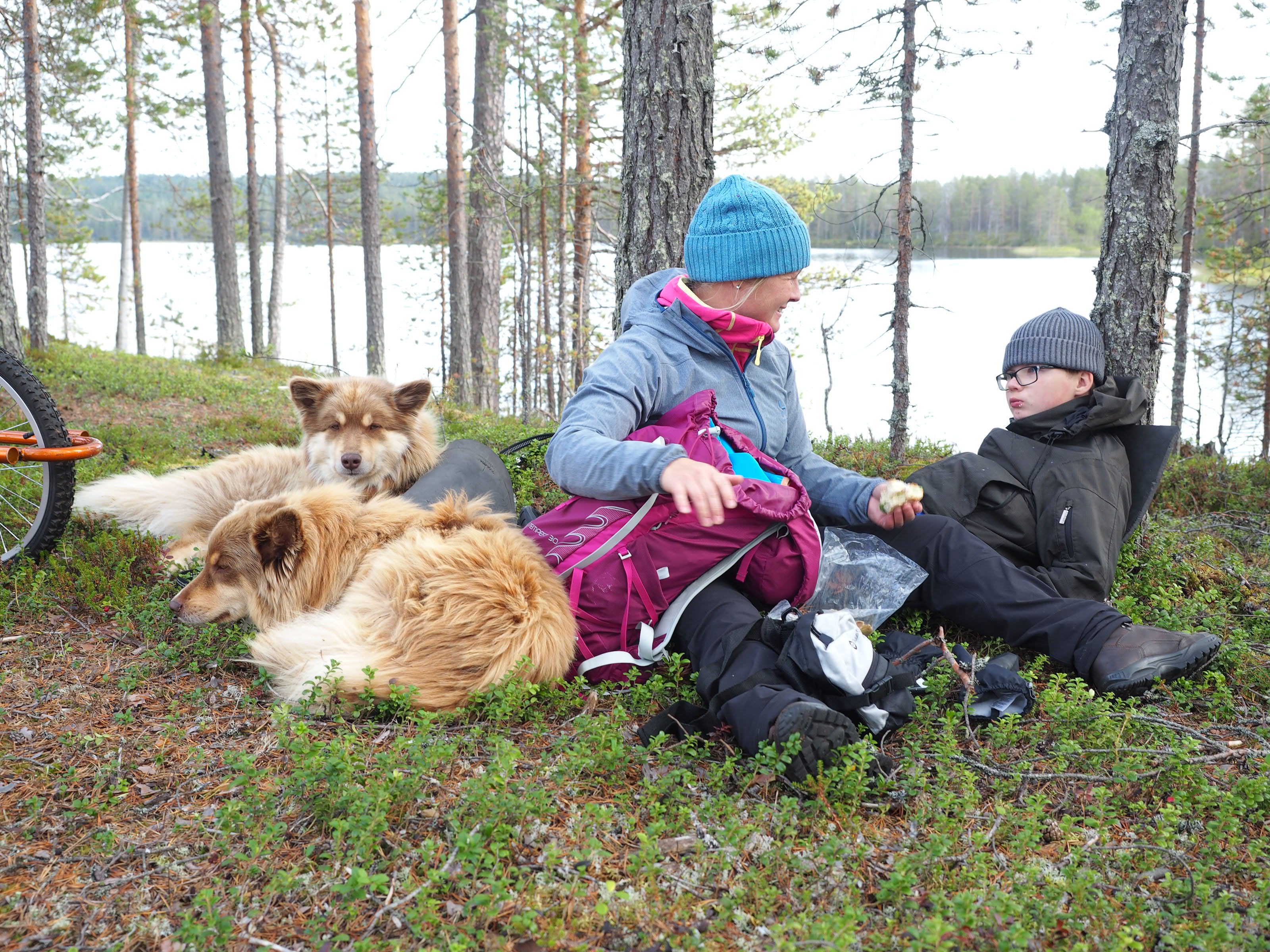Hanna Orell ja hänen poikansa Otto Lämsä lepotauolla matkalla yöpymispaikkaan Pitkän-Hoiluan rantaan. Leposeurana Urmas- ja Uljas-koirat. Kuva: Malike.