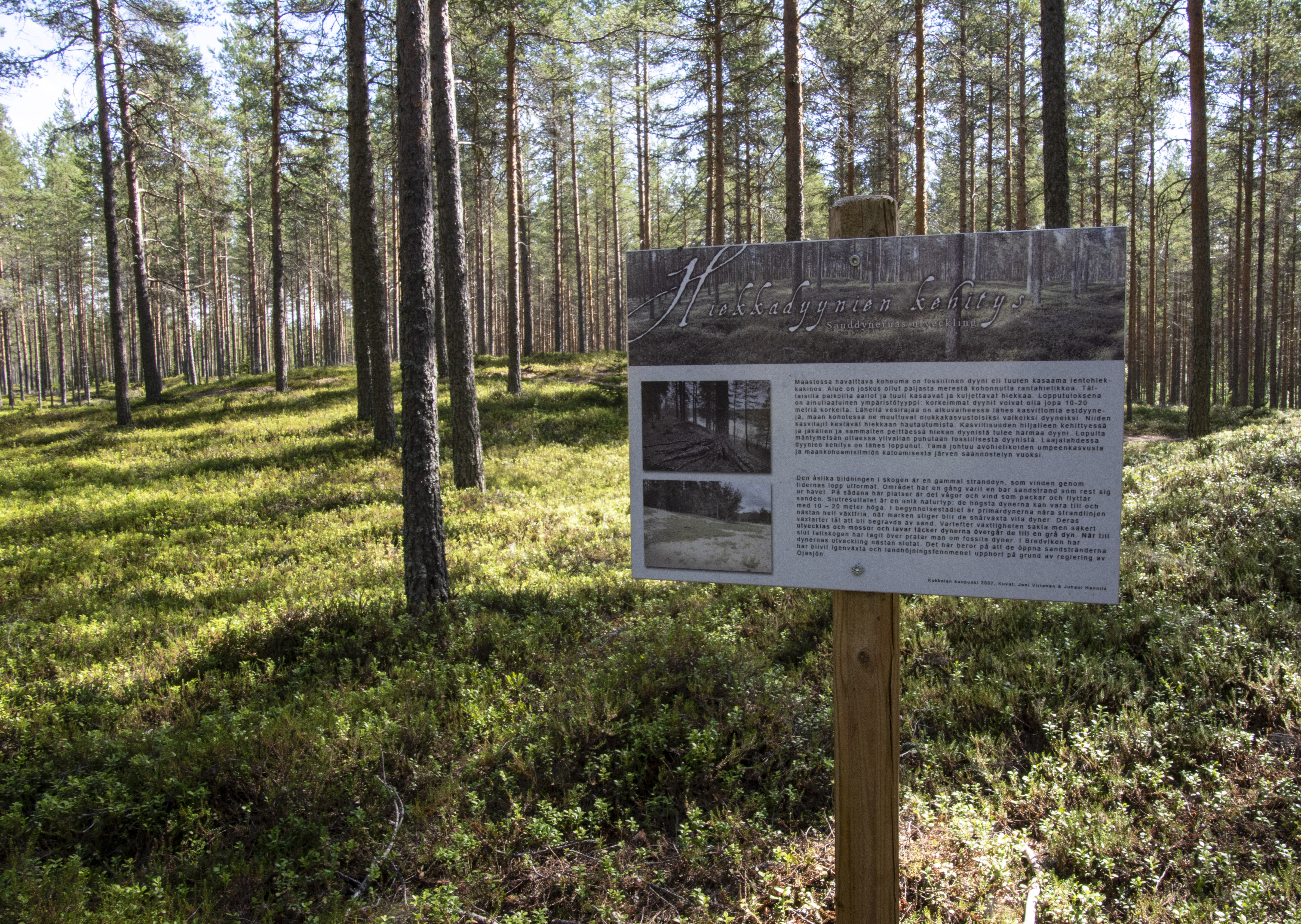 Laajalahden luontopolku (3,5 km) sijaitsee Öjanjärven itärannalla, Kokkolan keskustasta lounaaseen. Kuva: Raija Hentman.