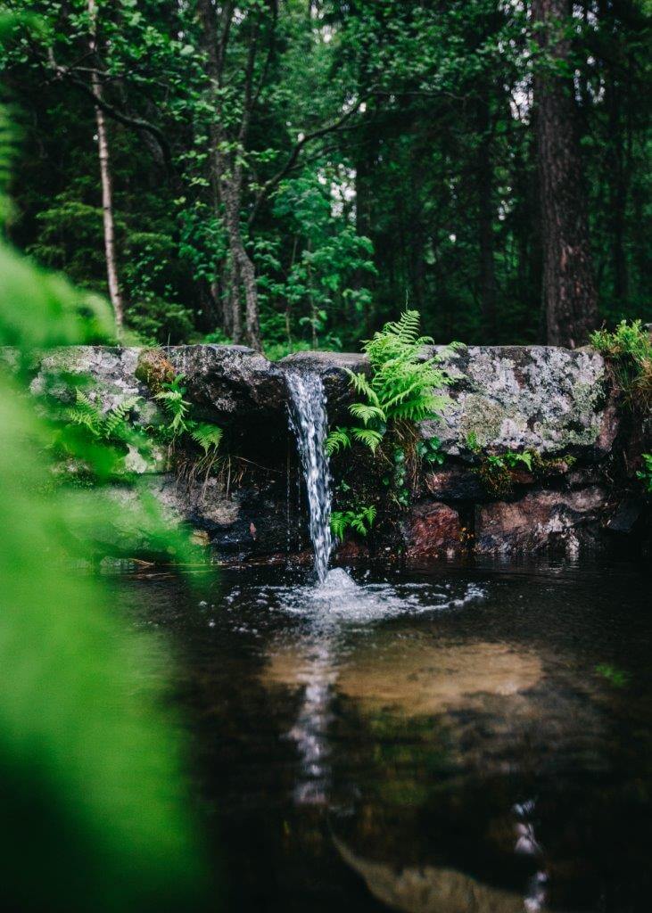 Pullollinen Dagmarin lähdevettä, Raasepori.