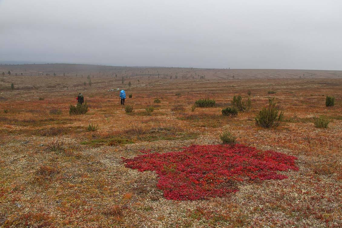 Matka jatkuu Lemmenjoen merkityiltä reiteiltä poluttomaan tunturiin. Kuva: Jouni Laaksonen.