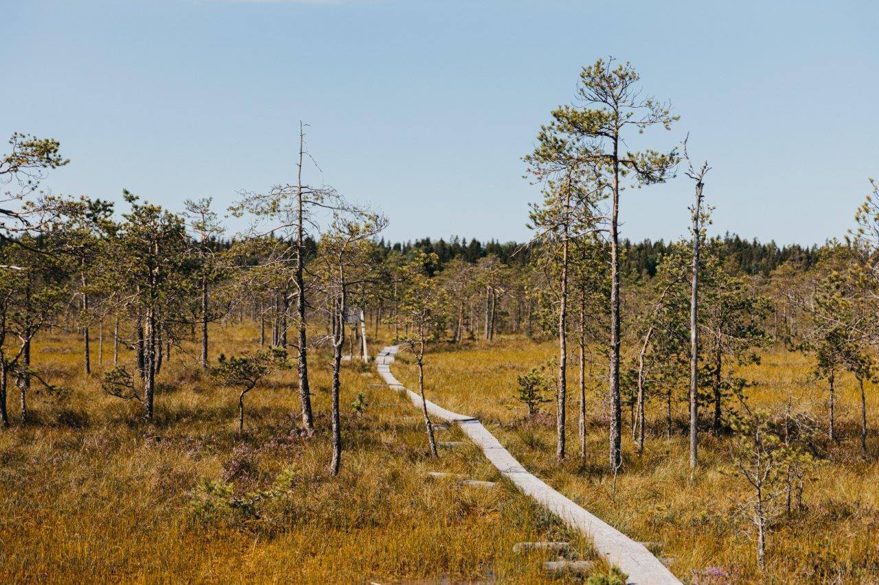 Lahden Linnaistensuo on koko perheen päiväretkikohde.