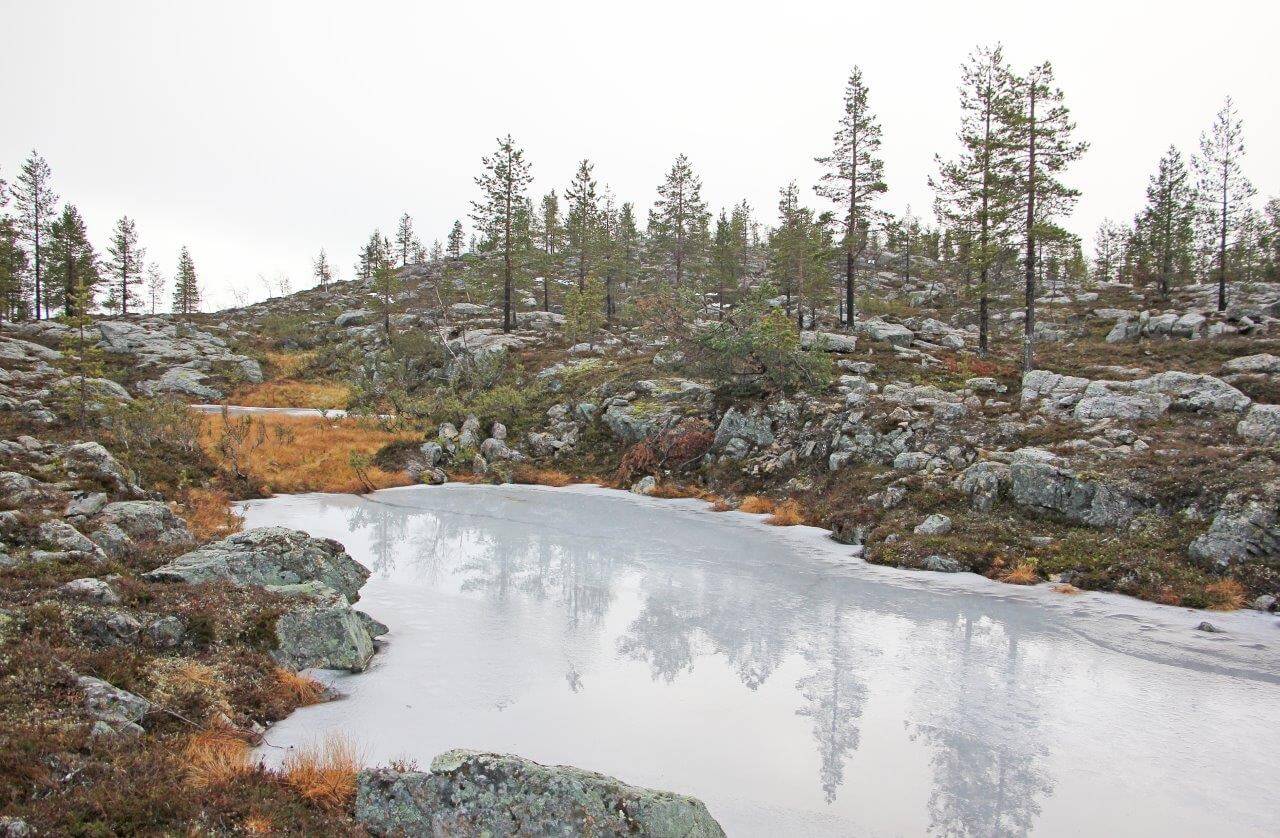 Jääkauden murjomaan kallion uurteeseen on jäätynyt pieni lampi. Ruskasta on jäljellä kapea suokasvien keltainen vyöhyke. Tällaisia hienoja yksityiskohtia voi löytää monilta syrjäisiltä vaaroilta ja pieniltä tuntureilta. Kuva: Matti Mela.