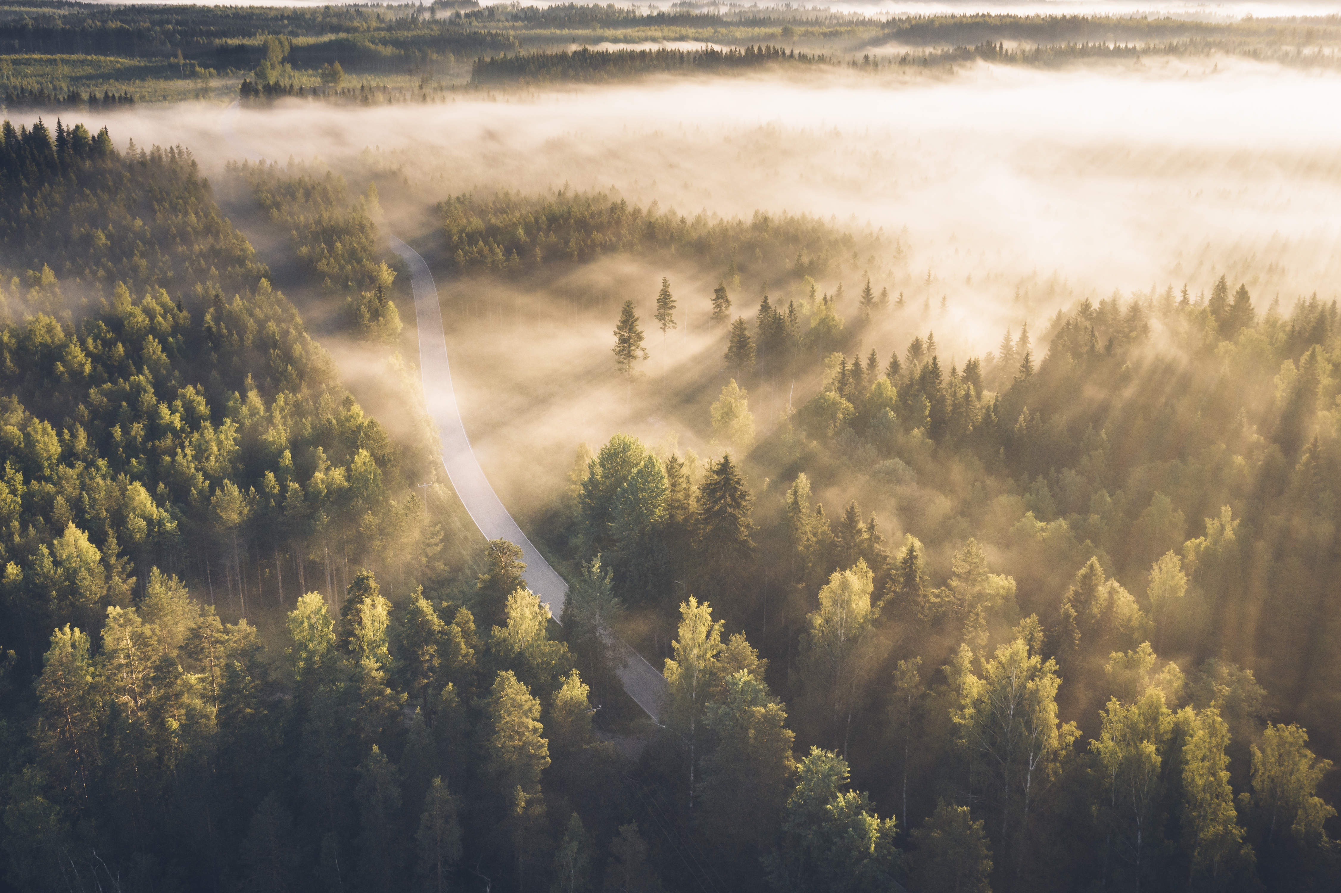 Luonto toimii samalla tavalla kaikkialla. Kuva: Eeva Mäkinen.