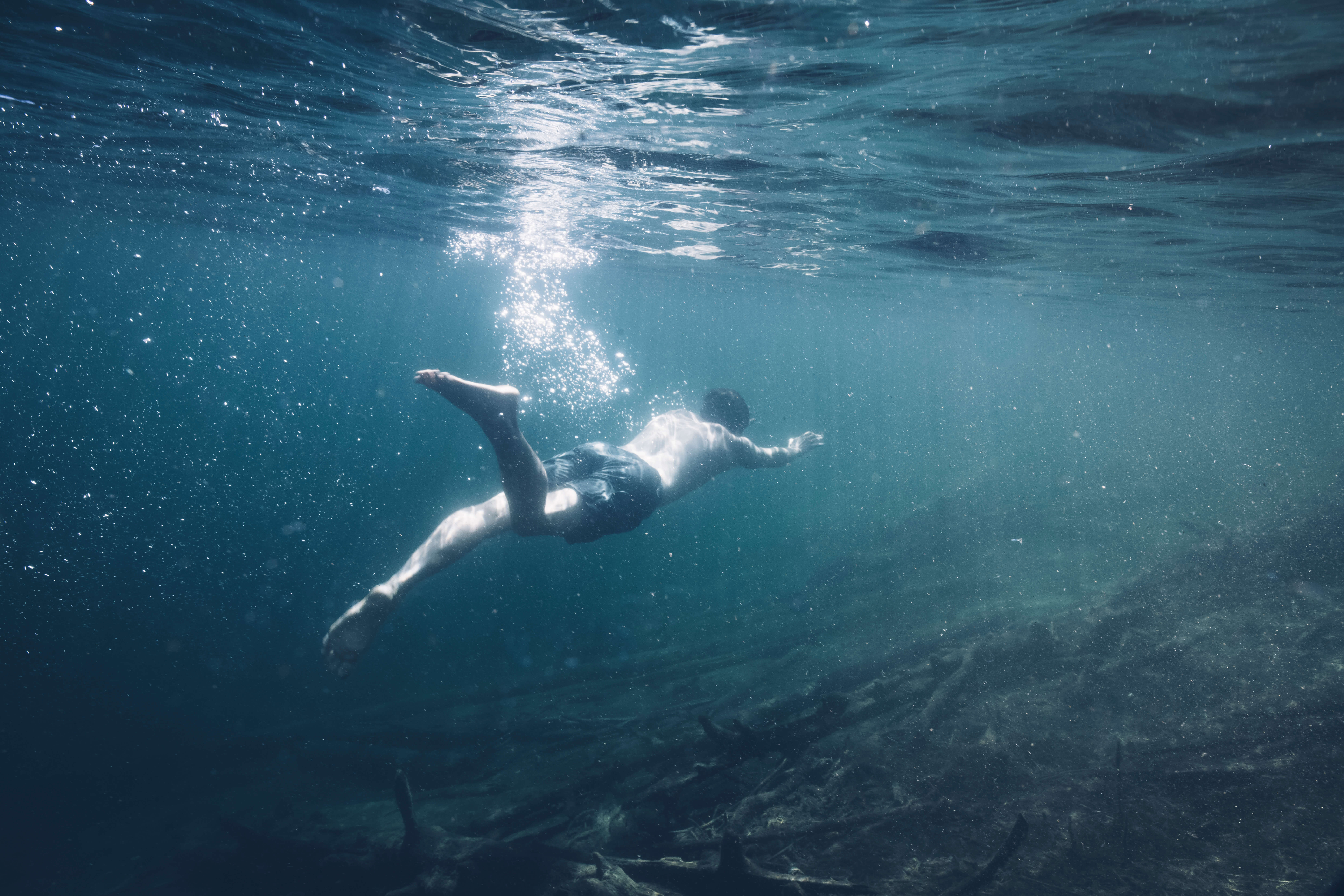 Pulahda Suomen tummiin vesiin. Kuva: Eeva Mäkinen.