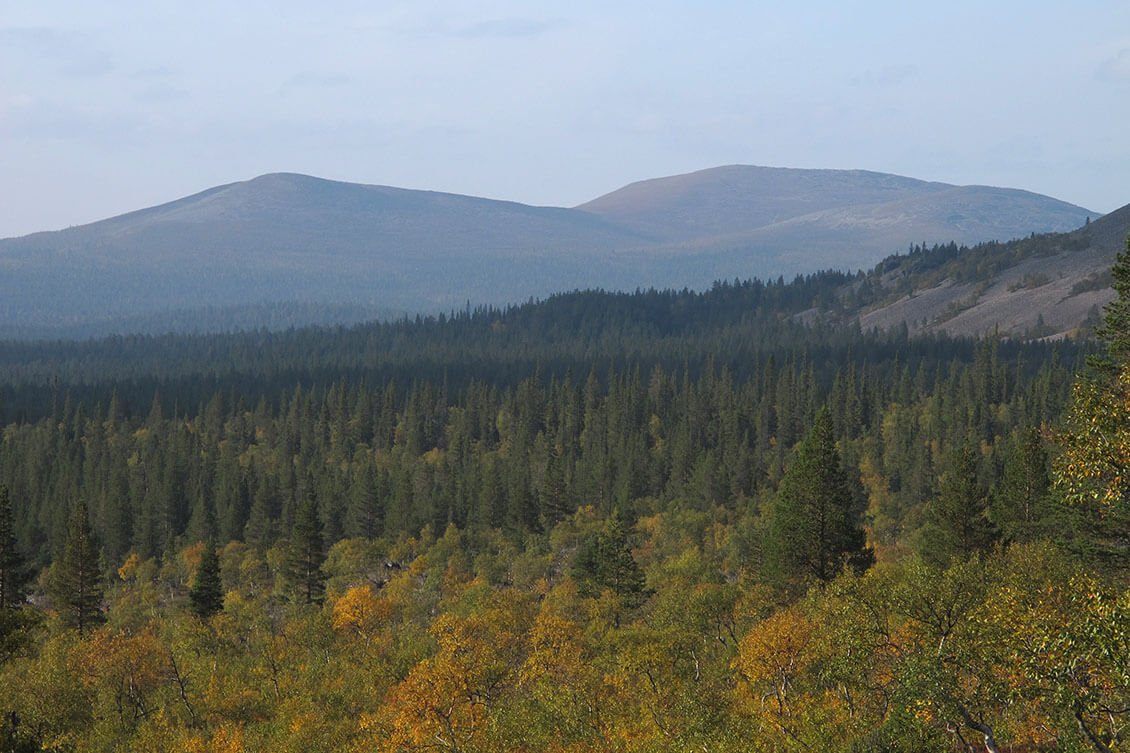 [03] Luirojärven kierros. Kuva: Jouni Laaksonen.