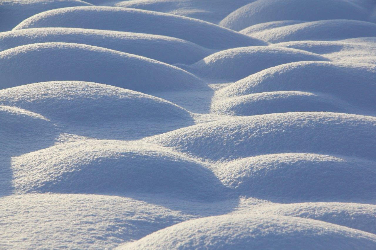 Helmikuisen suon pintaa ihastellessa on vaikea uskoa, miten vaatimaton sammalpounikko on tämän hienon lumikuvion taustalla. Kuva: Matti Mela.