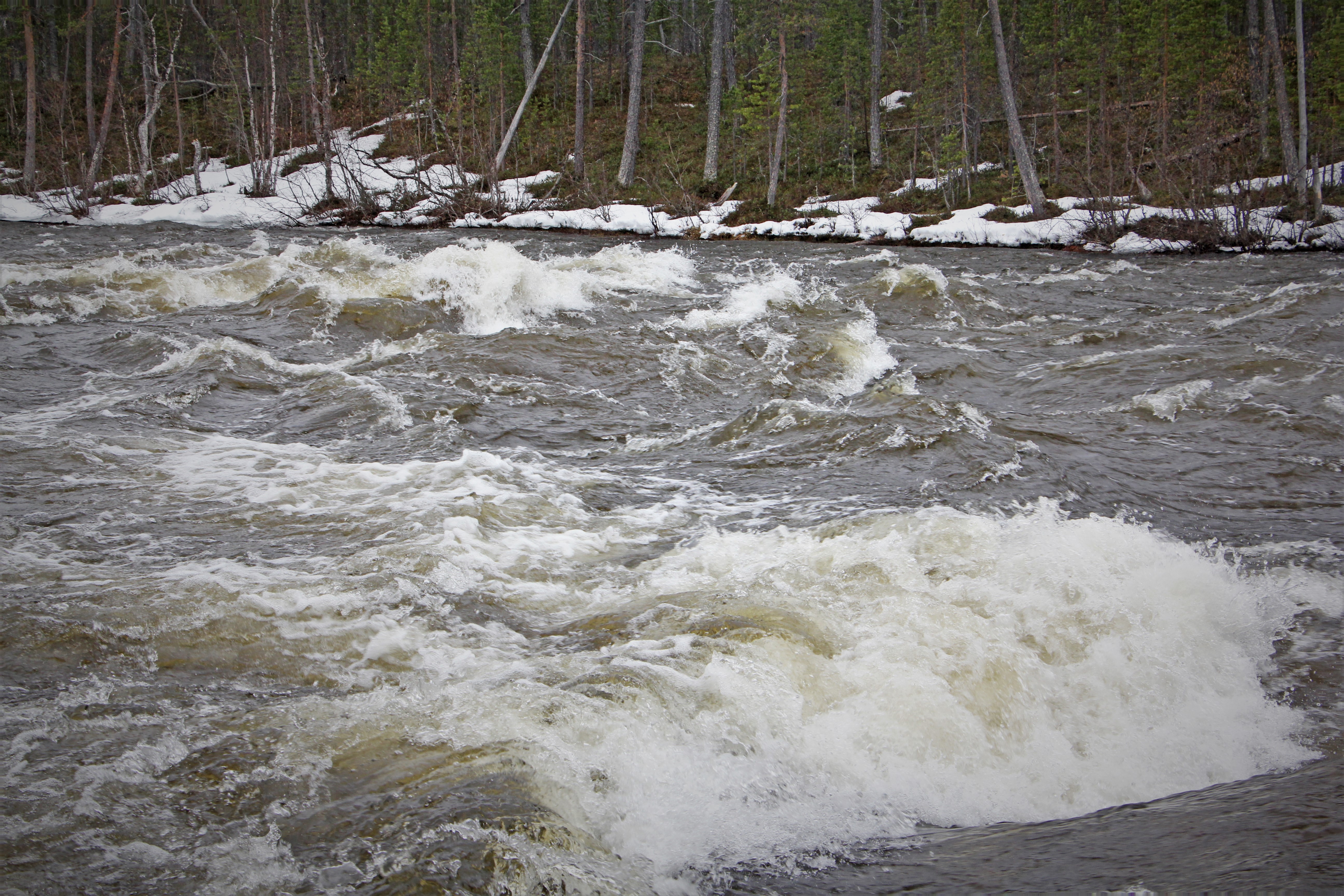 Kevättulvassa Lutto näyttää kanoottiretkeilijälle aika voimakkaalta, mutta veden määrä vähenee nopeasti. Kuivana kesänä lukuisissa koskissa ja nivoissa kärsitään enemmänkin vesipulasta. Kuva: Matti Mela.