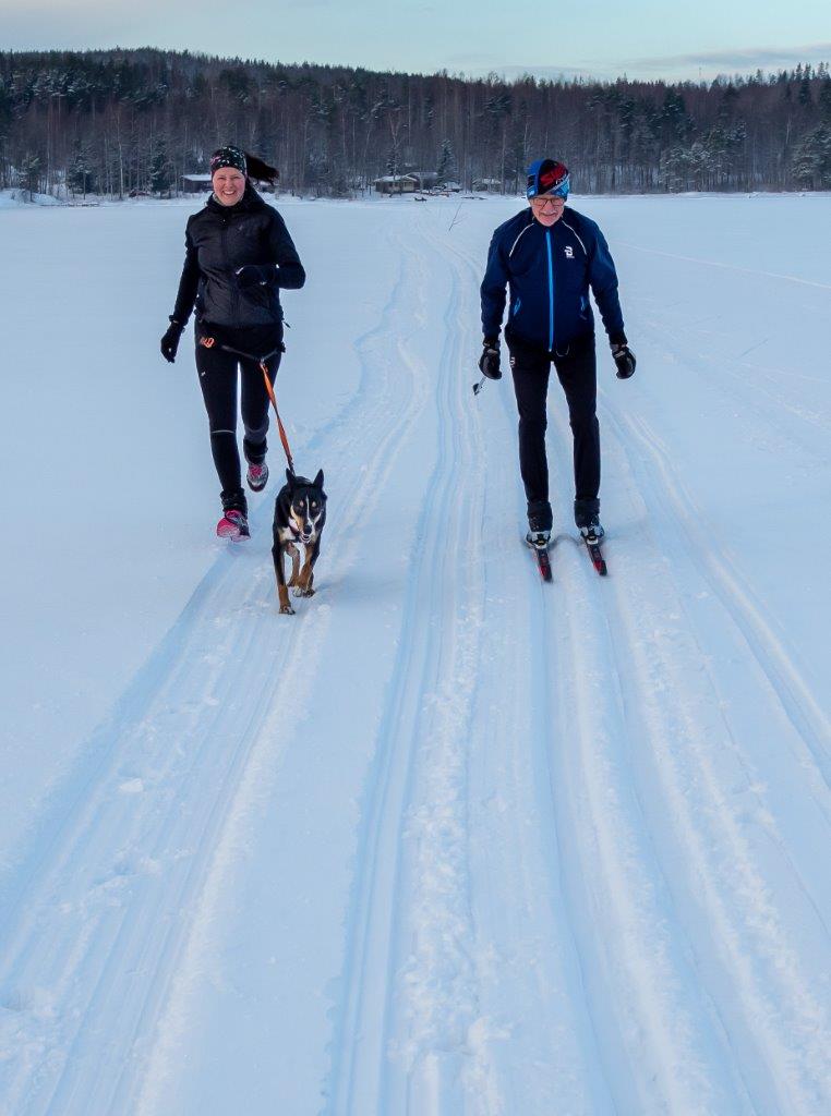 Leveimmillään monikäyttöuran vierellä kulkee sekä perinteisen- että luistelulatu. Kuva: Terhi Ilosaari.