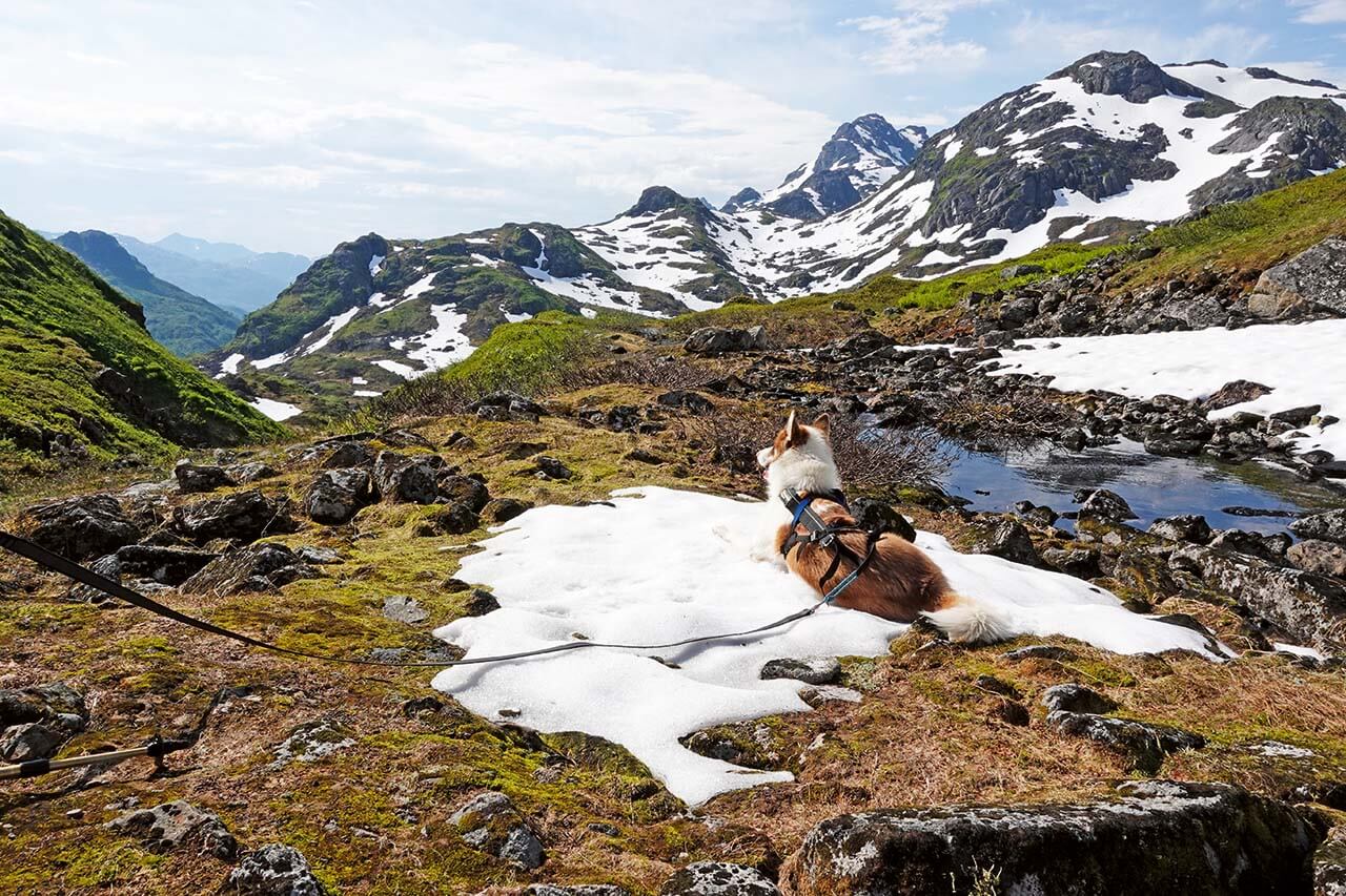 [08] Møysalenin maisemat ovat alppimaisia. Kuva: Sanna Häkkänen.