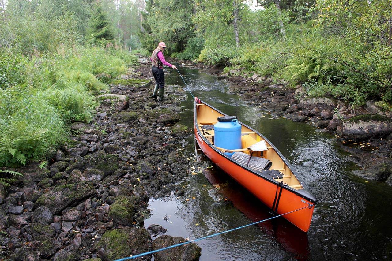 Mujekoskea uittamassa. Kuva: Jouni Laaksonen.