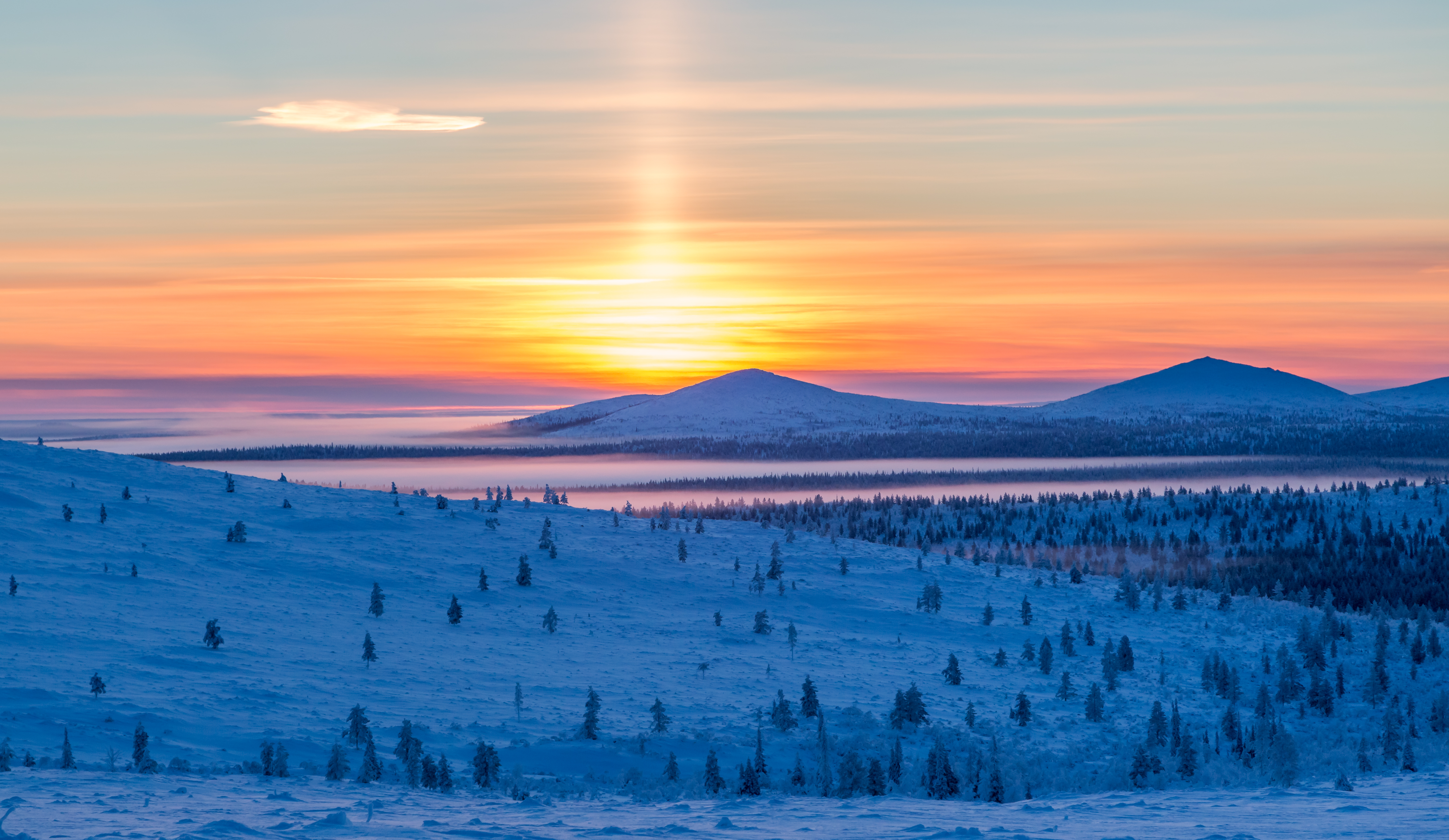 Kuva: Sampsa Sulonen