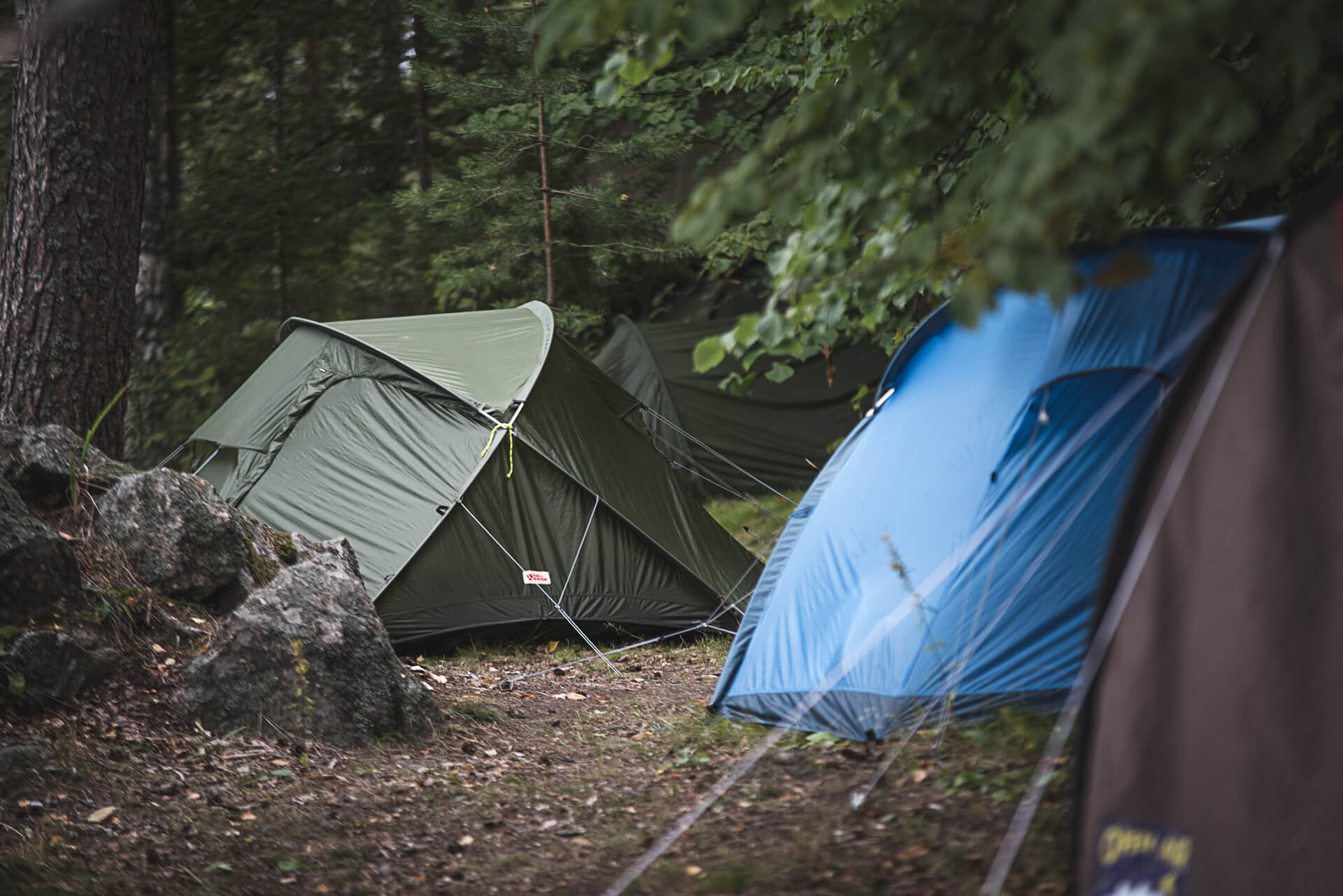 Suomen Latu ohjaa kaikessa toiminnassaan ulkoilijoita kokonaisvaltaisesti ympäristövastuullisiin toimintatapoihin. Kuva: Mikaela Creutz.